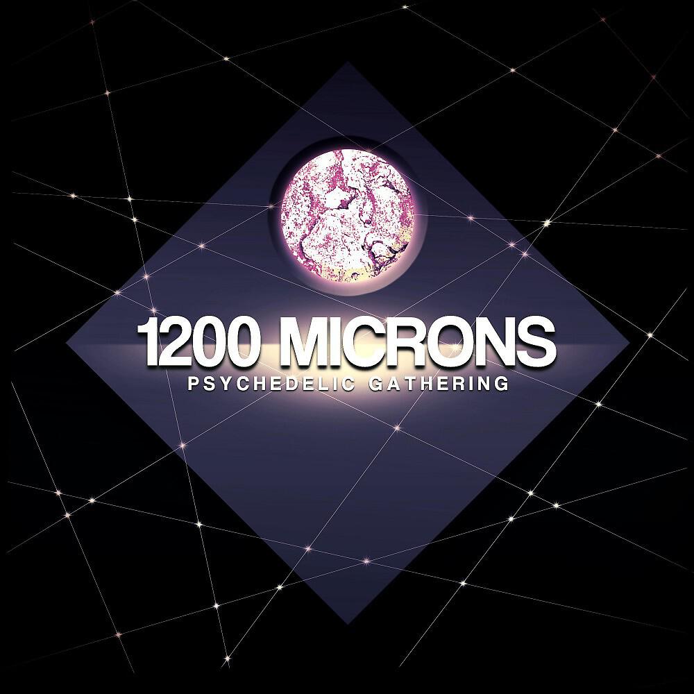 1200 Microns - Sonic Species (Original Mix)
