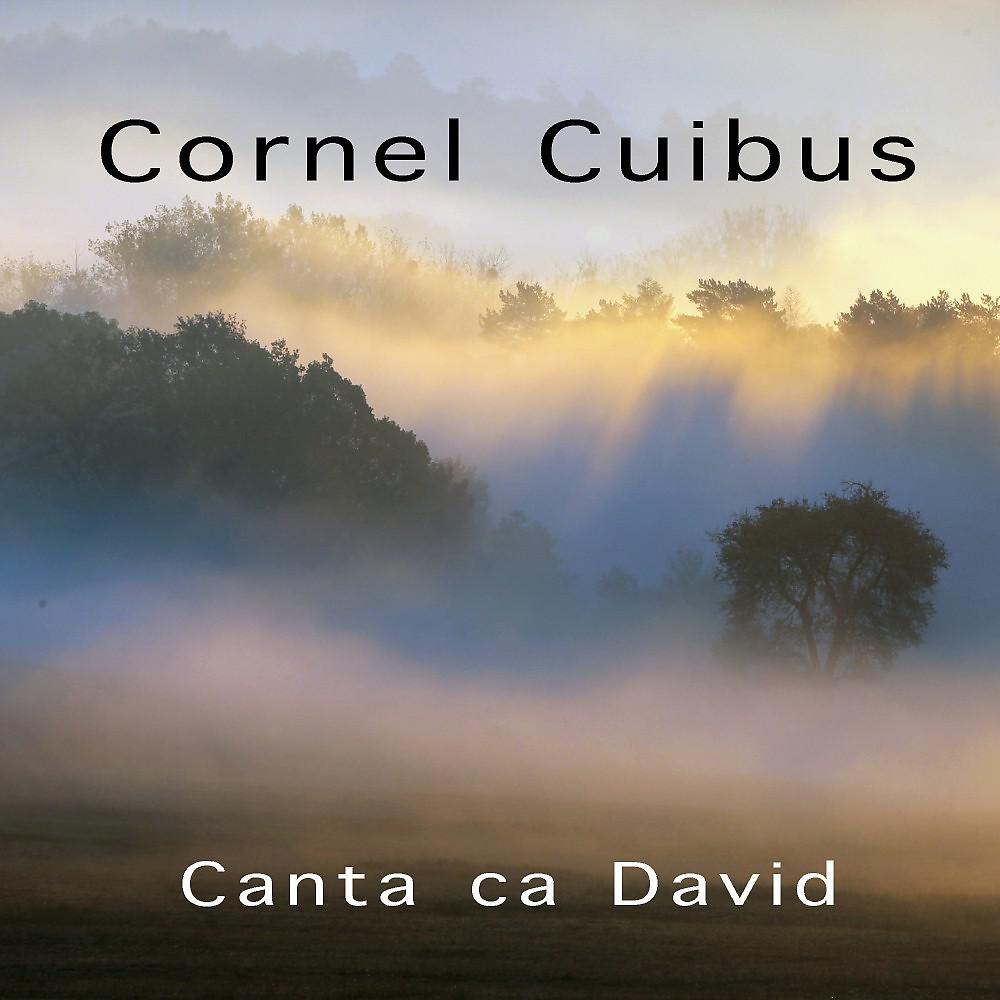 Cornel Cuibus - La Tine, Doamne