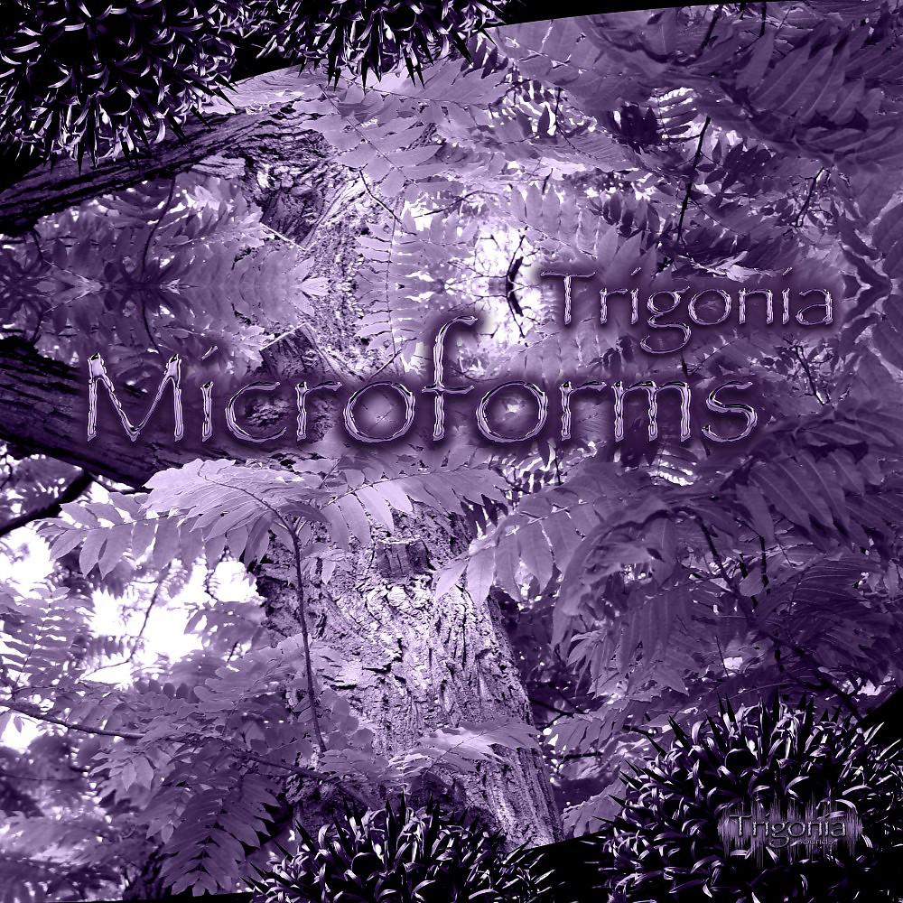 Постер альбома Microforms