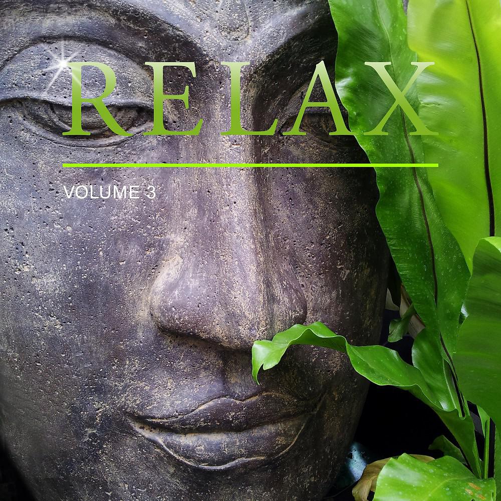 Постер альбома Relax, Vol. 3