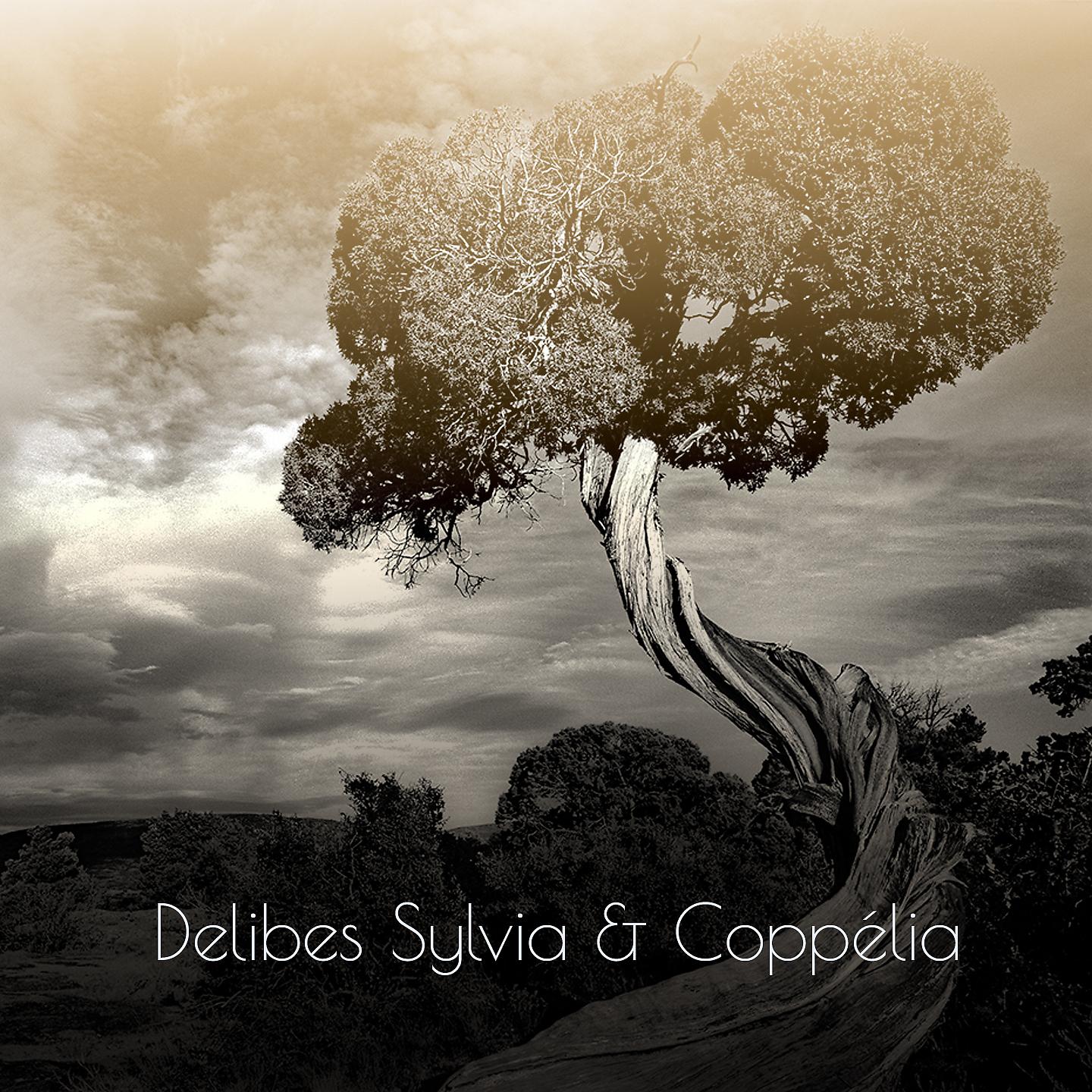 Постер альбома Delibes Sylvia & Coppélia