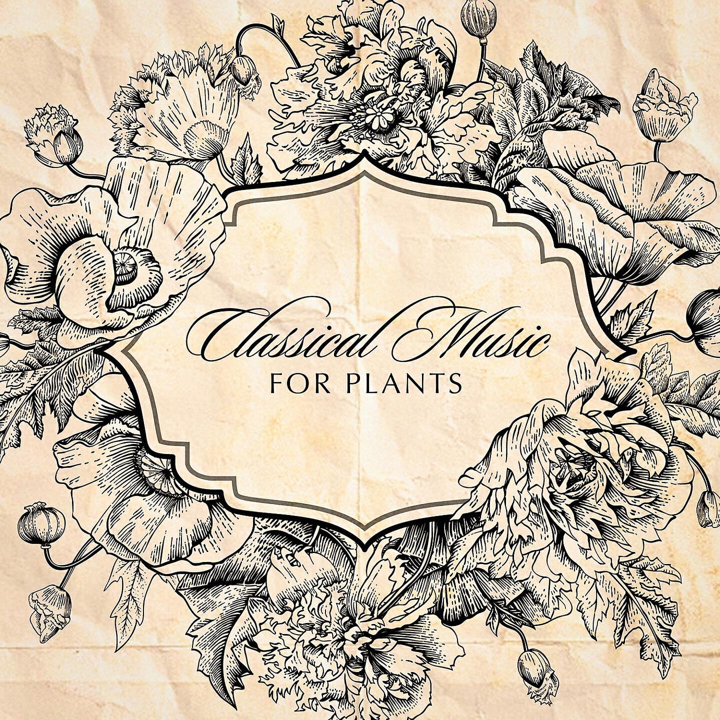 Quintetto Danzi - The Silken Ladder in C Major : Overture