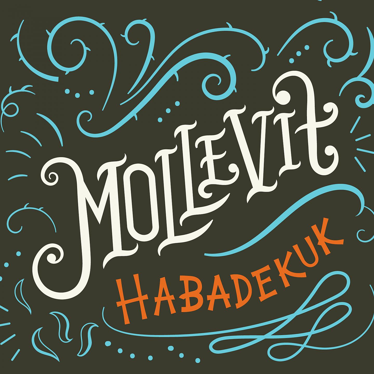 Постер альбома Mollevit