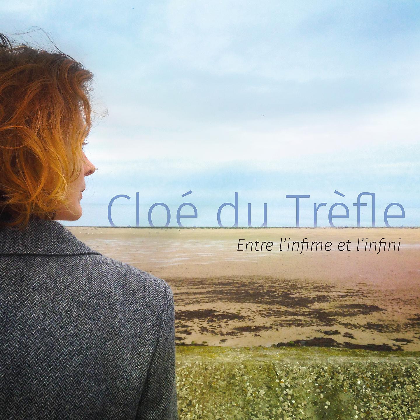Постер альбома Entre l'infime et l'infini