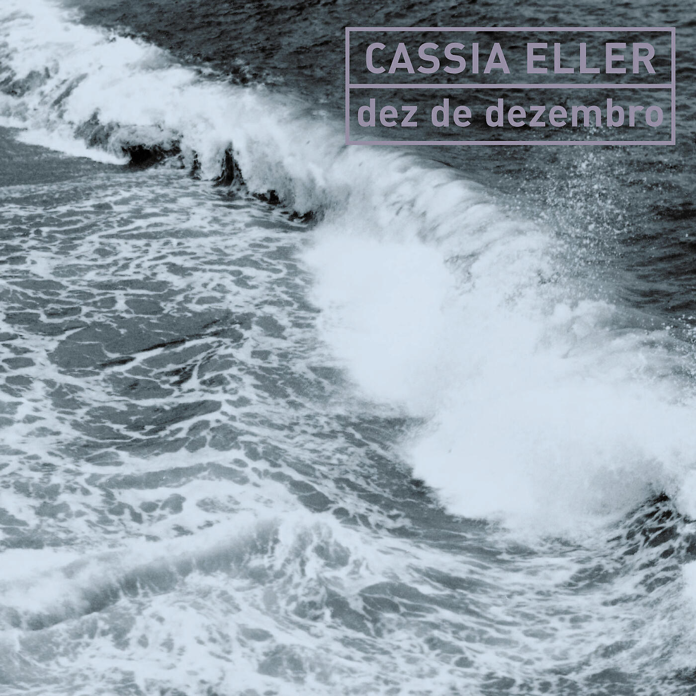 Cássia Eller - Nenhum Roberto