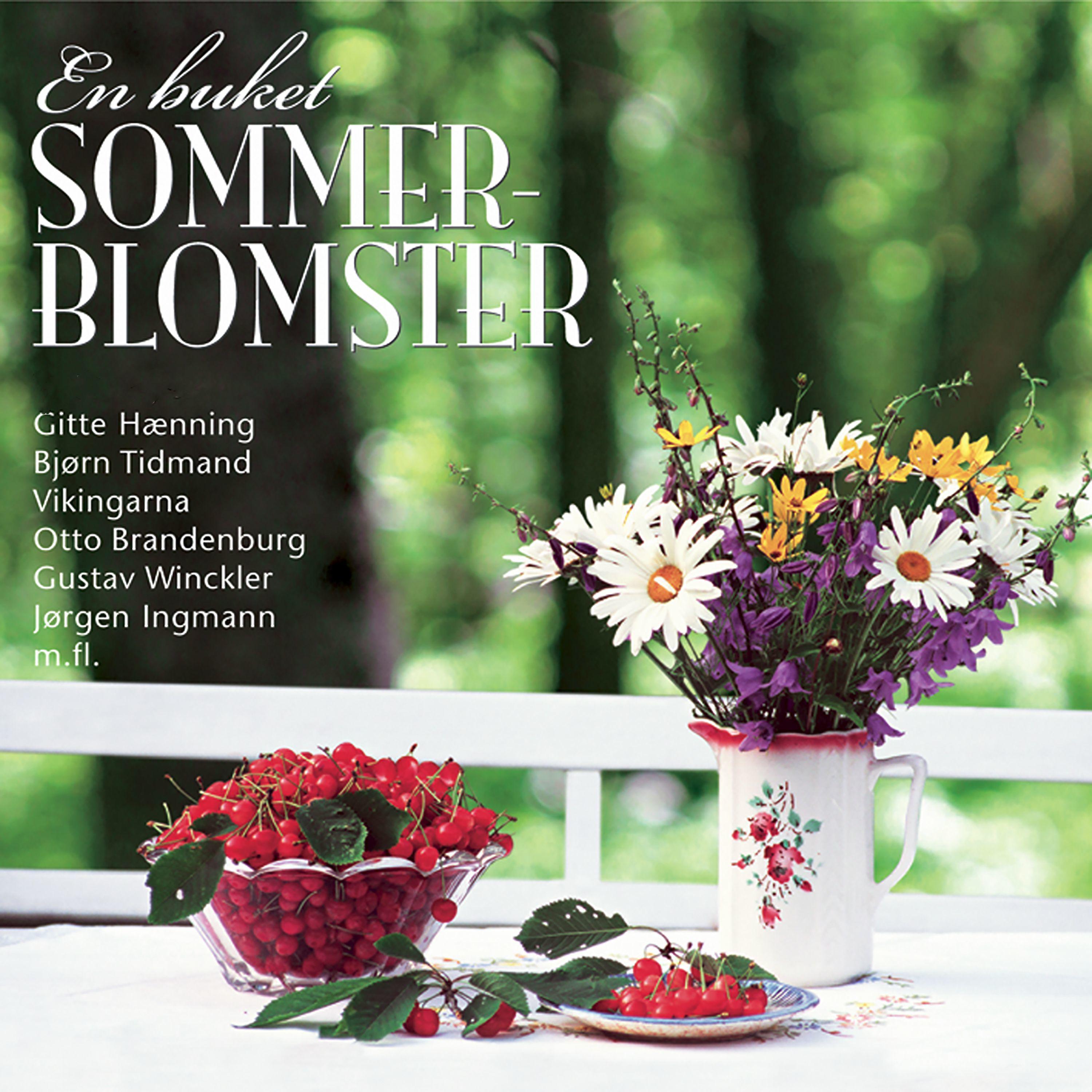 Постер альбома En Buket Sommerblomster