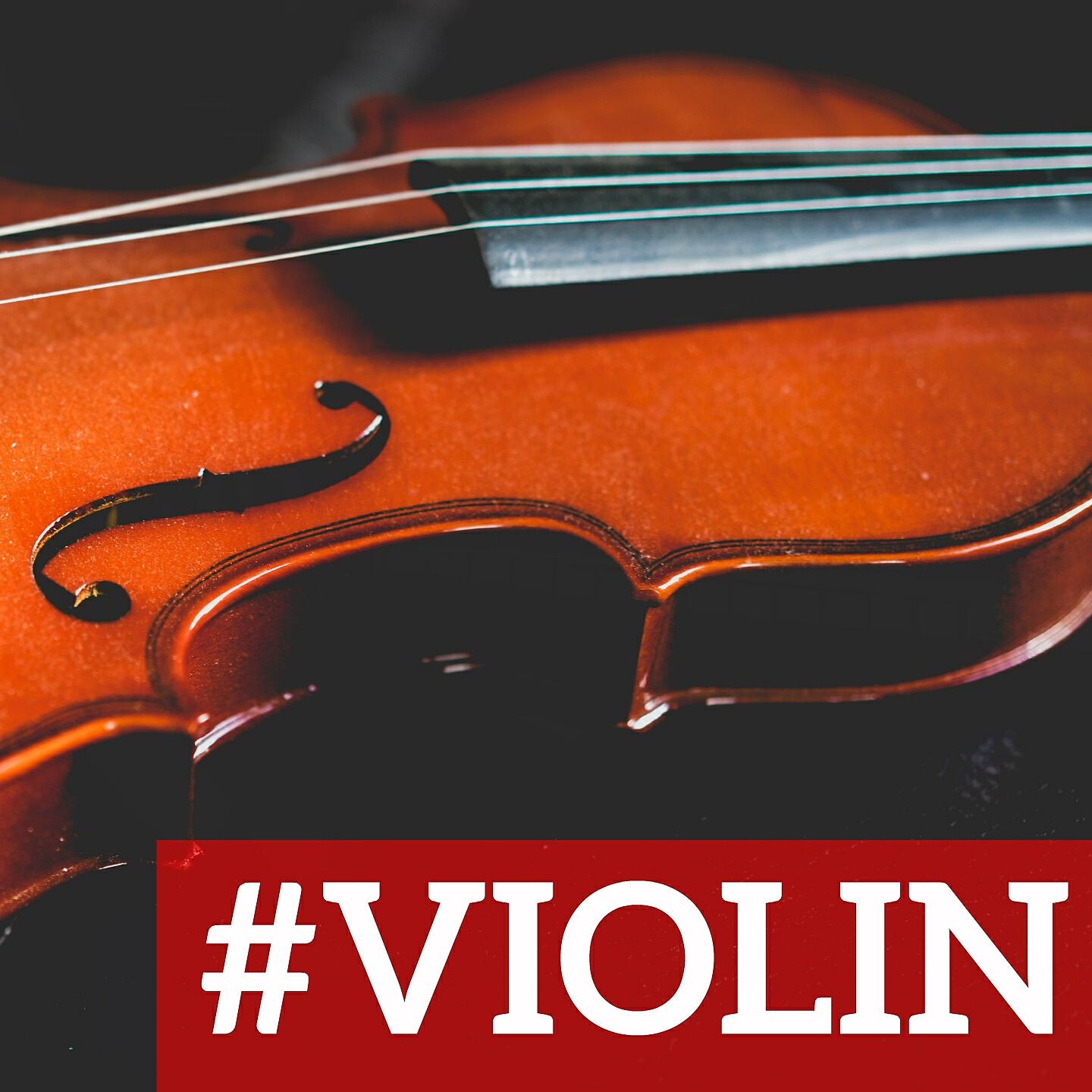 Il delirio fantastico - Concerto for Strings No. 5 in C Major, RV 114: I. Allegro