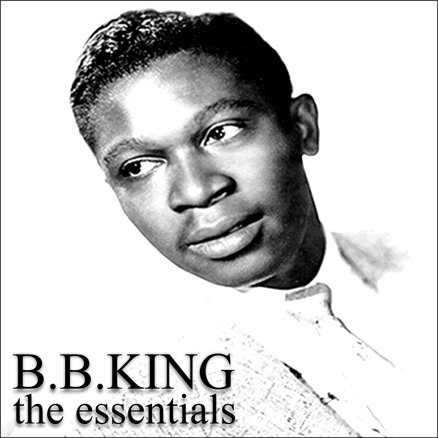 Постер альбома B.B.King - The Essentials