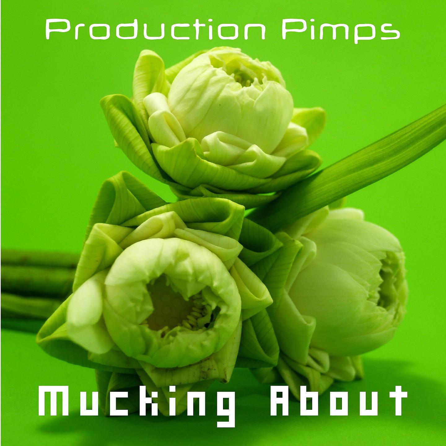 Постер альбома Production Pimps