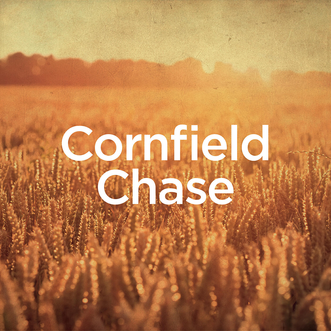 Michael Forster - Cornfield Chase (Piano-Cello Version)
