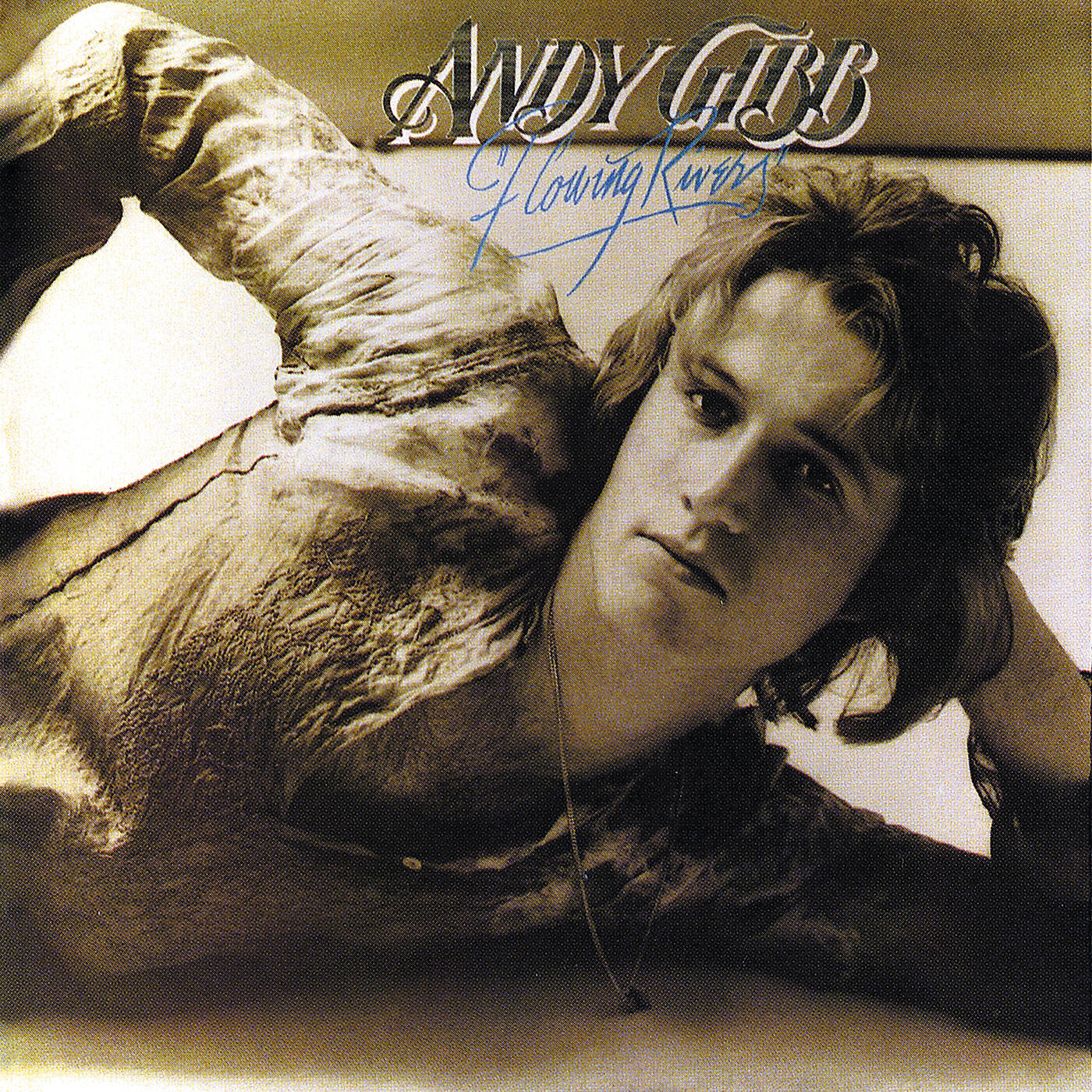 Andy Gibb - Too Many Looks In Your Eyes