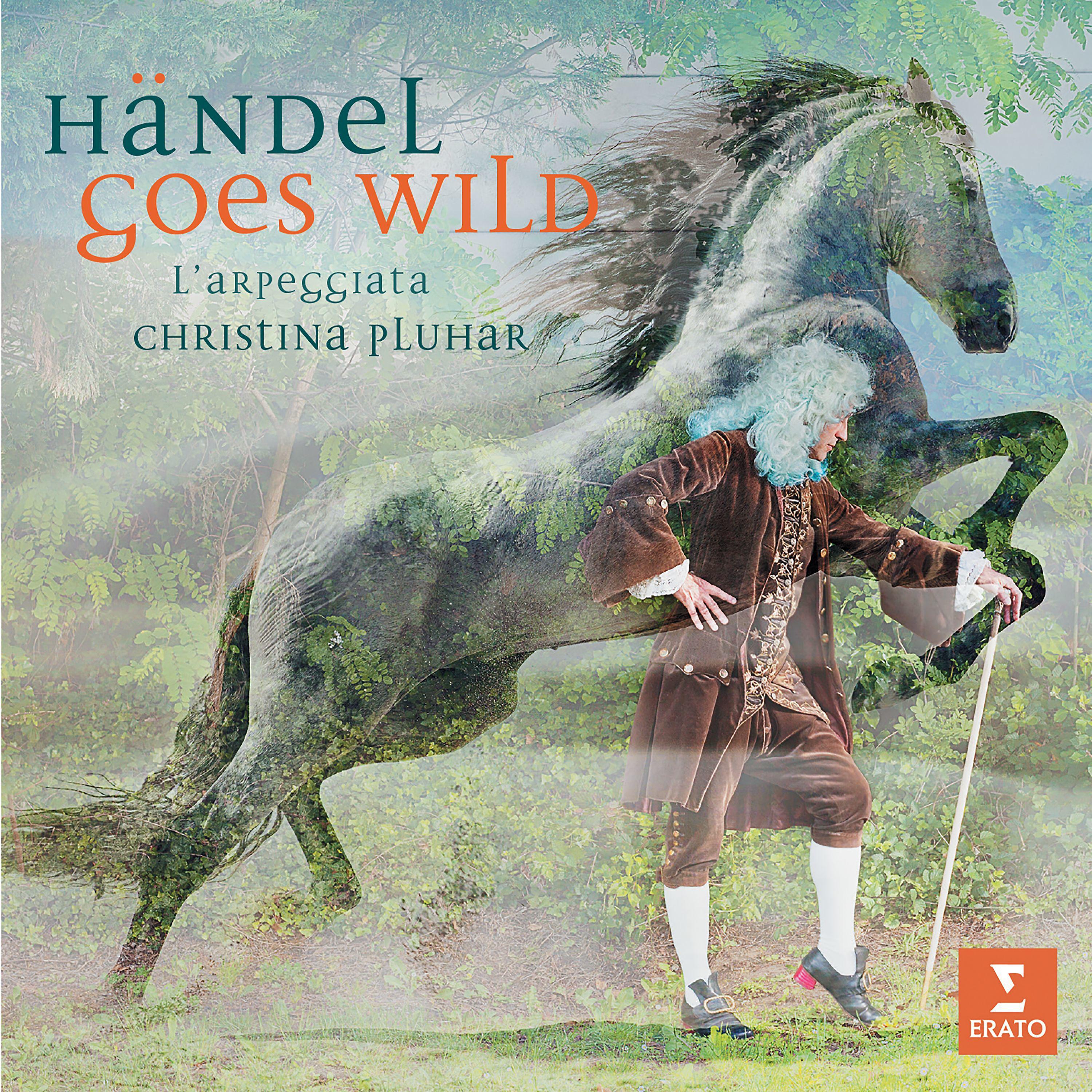 Постер альбома Handel goes Wild