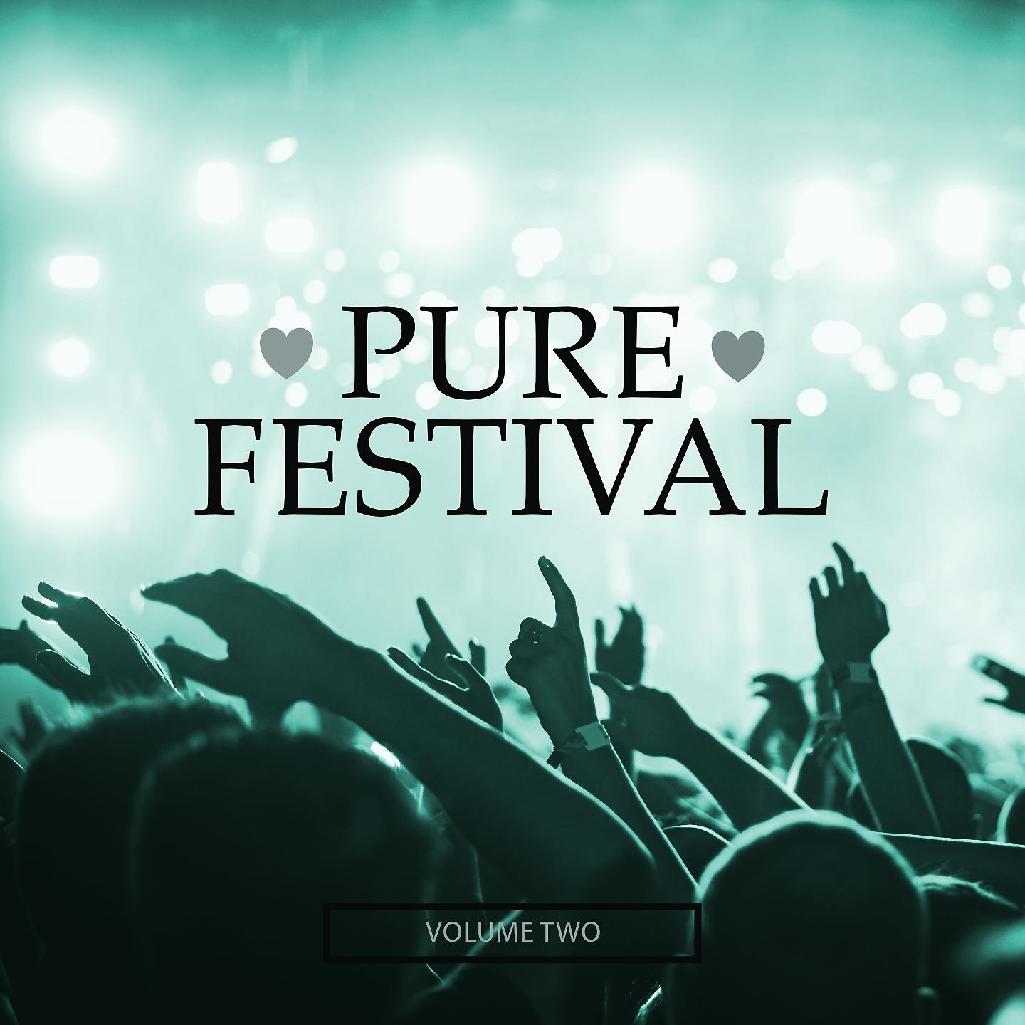 Постер альбома Pure Festival, Vol. 2