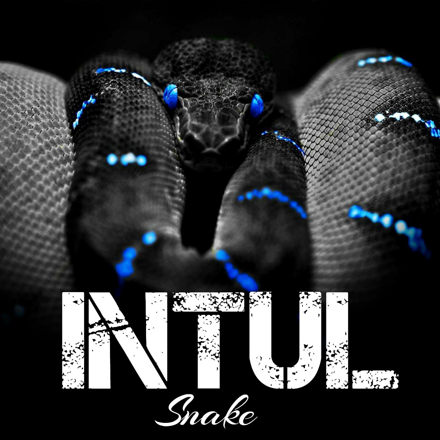 Постер альбома Intul