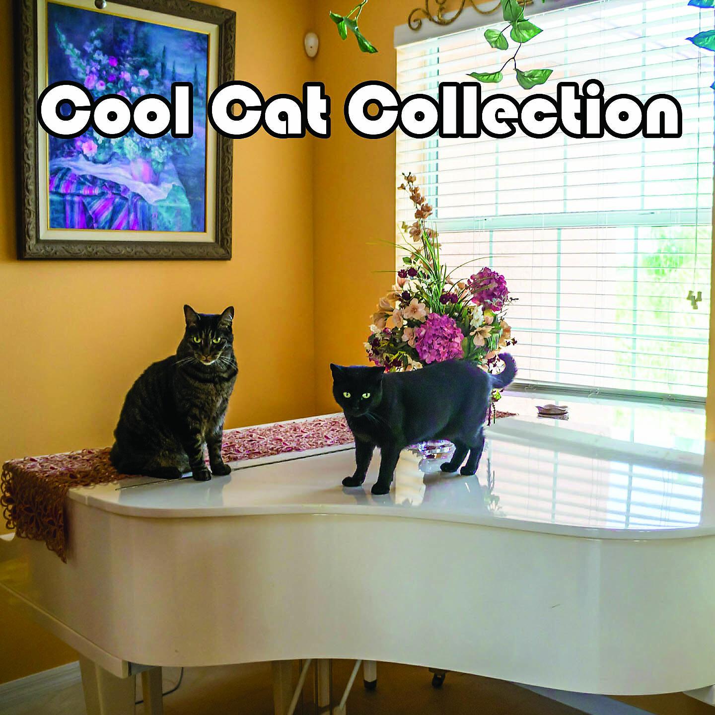Lounge Cafe - Crinoline Days