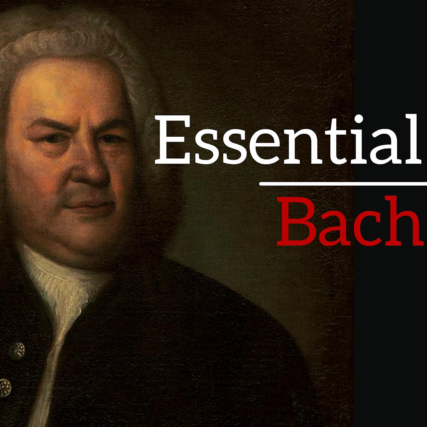 Постер альбома Essential Bach