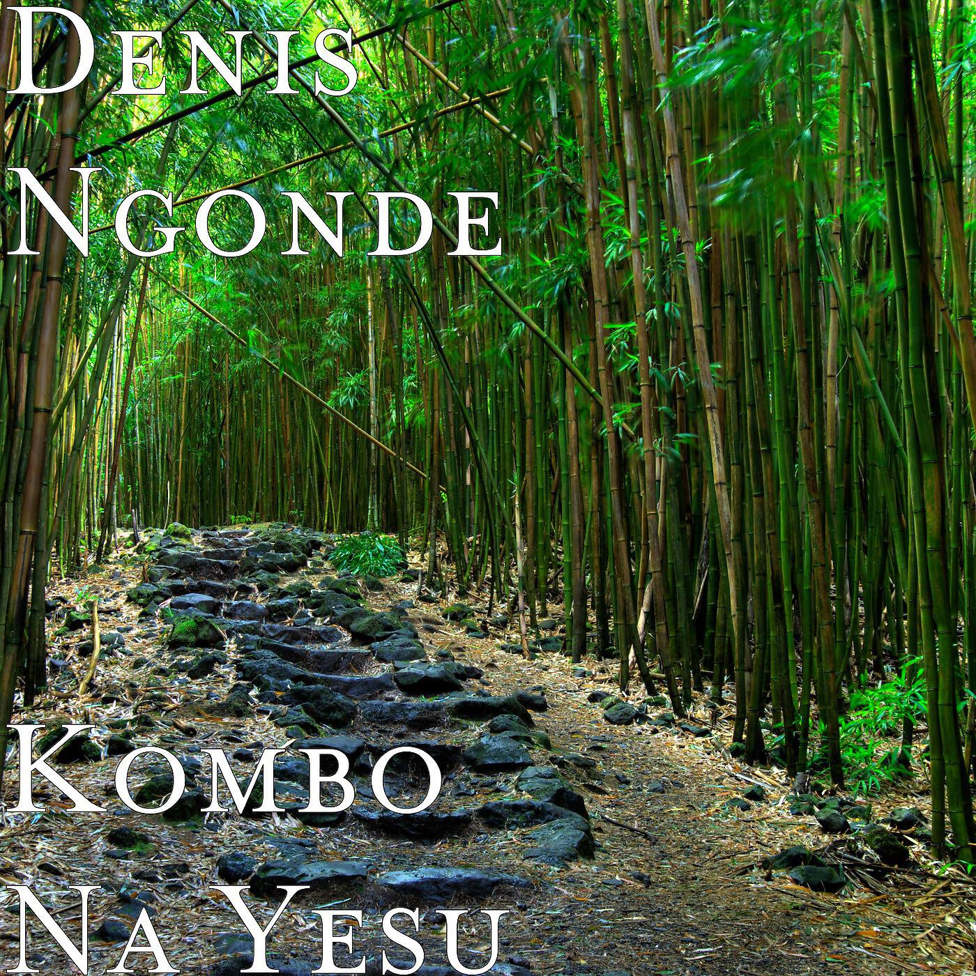 Denis Ngonde - Nabila Yo