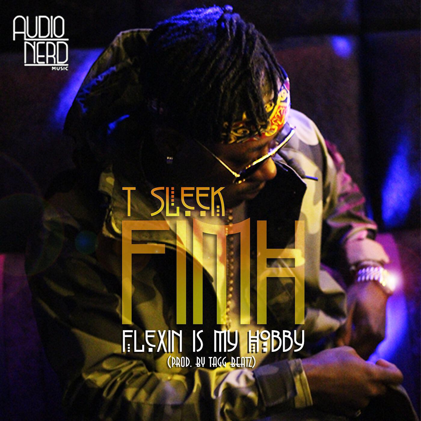 T Sleek - Flexin' is My Hobby [F.I.M.H.]