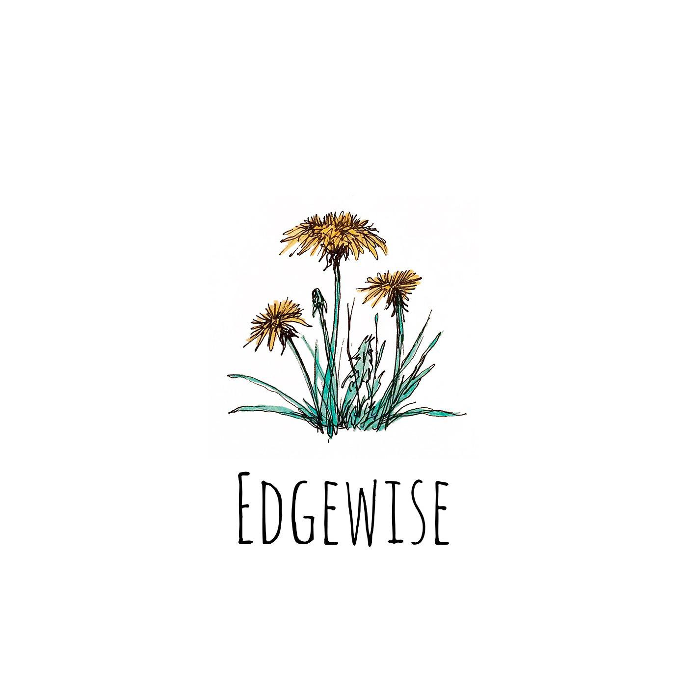 Постер альбома Edgewise