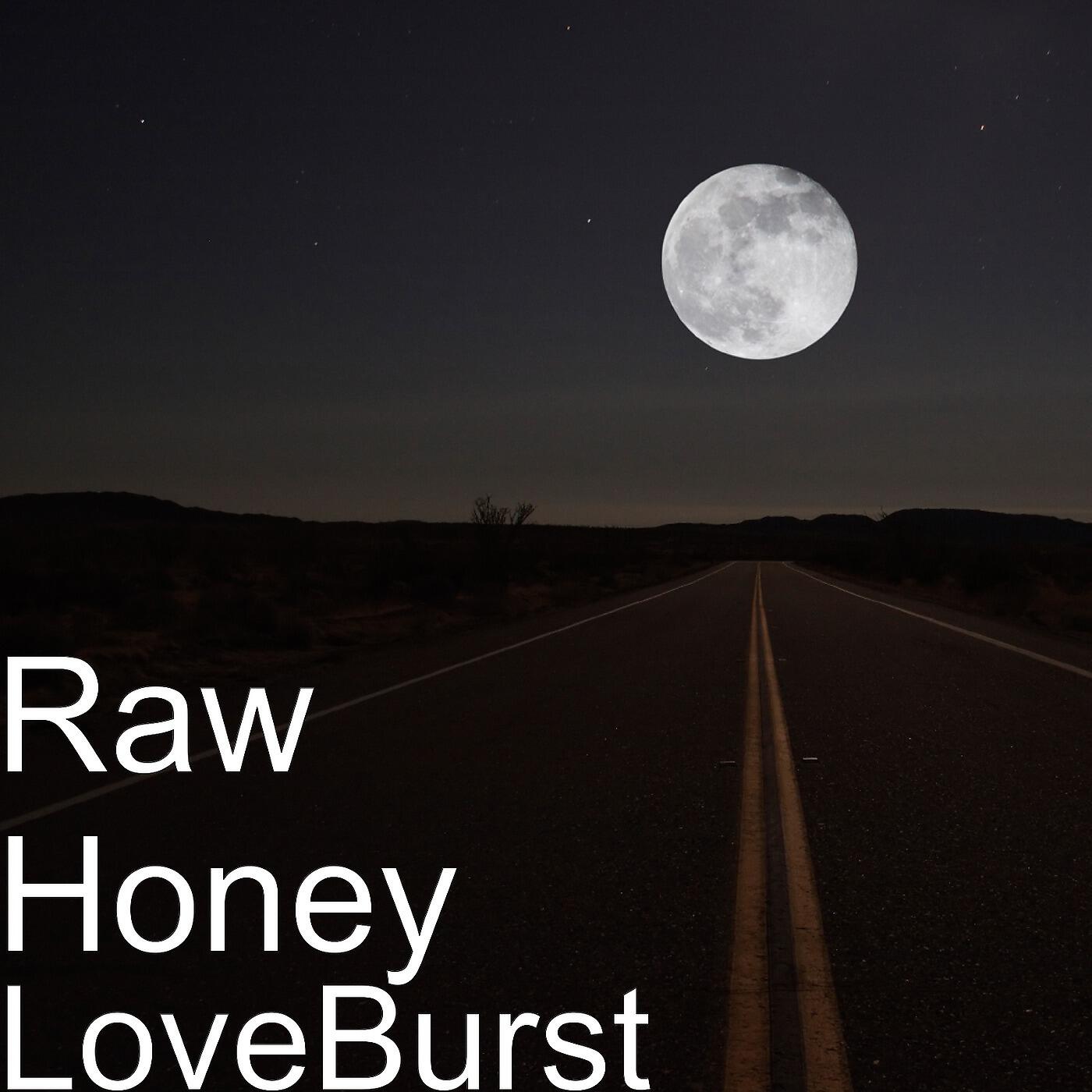 Raw Honey - The Jam (Instrumental) [feat. Bruce Allen, Thomas P Brown, Gerald Sparrow & James Smith]