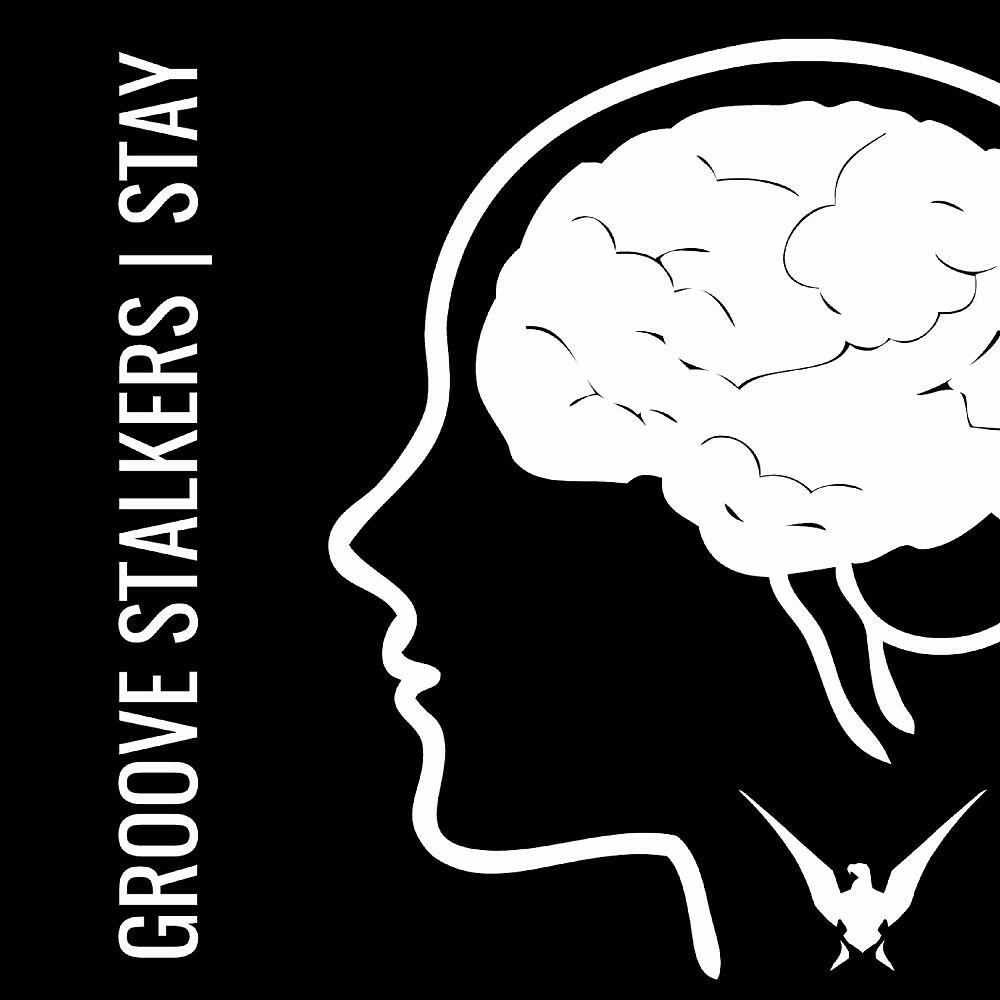 GROOVE STALKERS - The Blues on the Train (Extended Original)