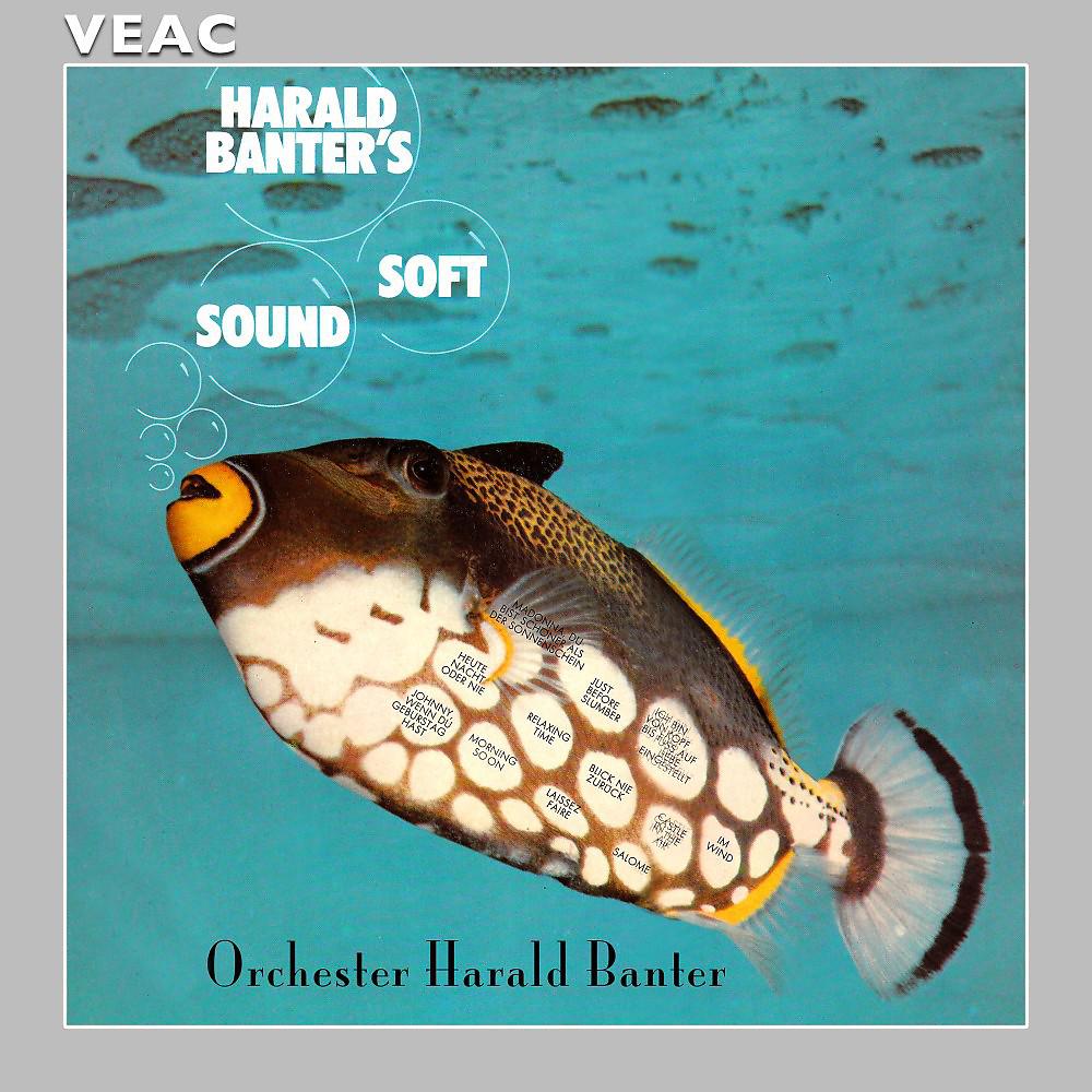 Постер альбома Harald Banter's Soft Sound