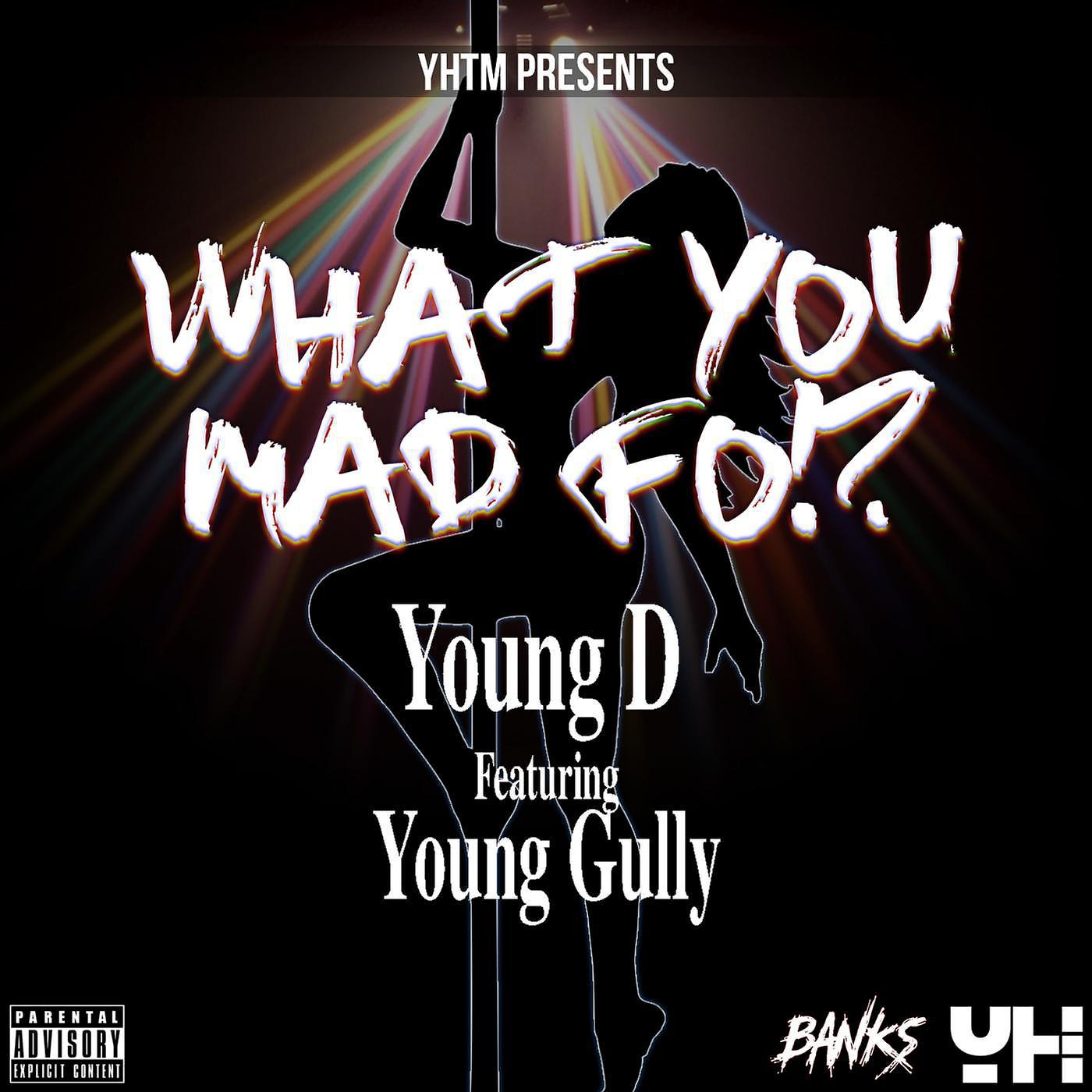 Постер альбома What You Mad Fo (feat. Young Gully)