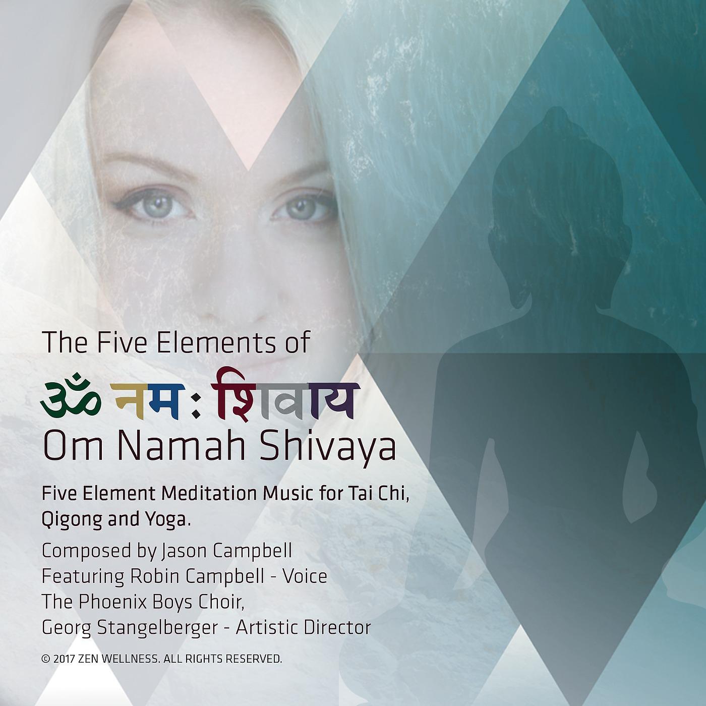 Постер альбома The 5 Elements of Om Namah Shivaya: 5 Element Meditation Music for Tai Chi, Qigong and Yoga