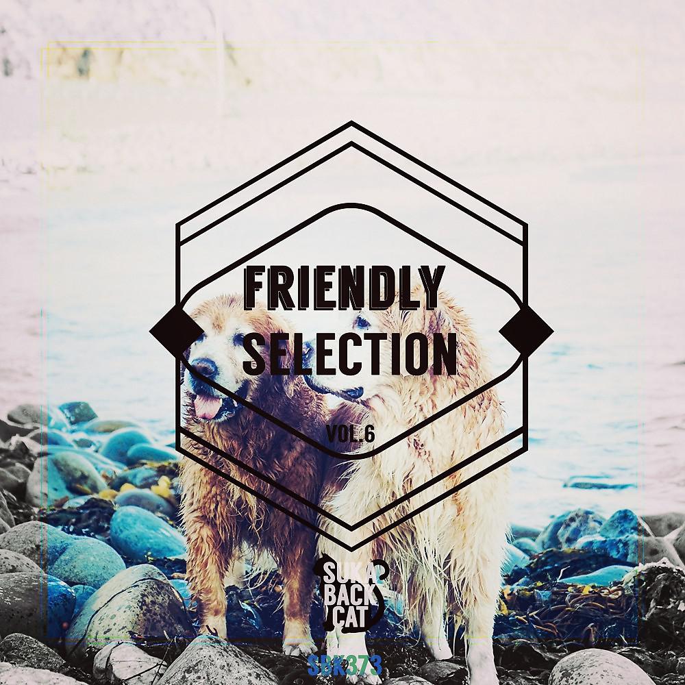 Постер альбома Friendly Selection, Vol. 6
