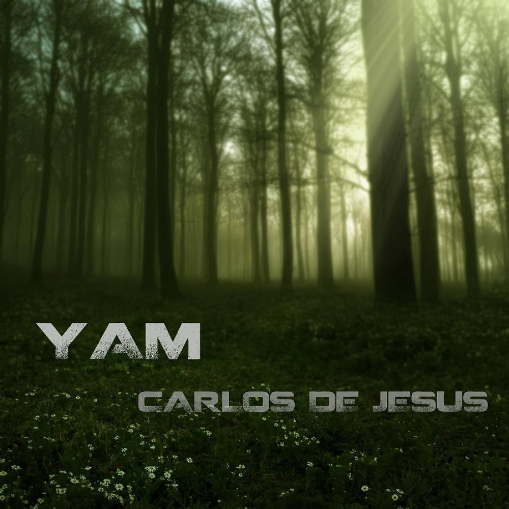 Постер альбома Yam