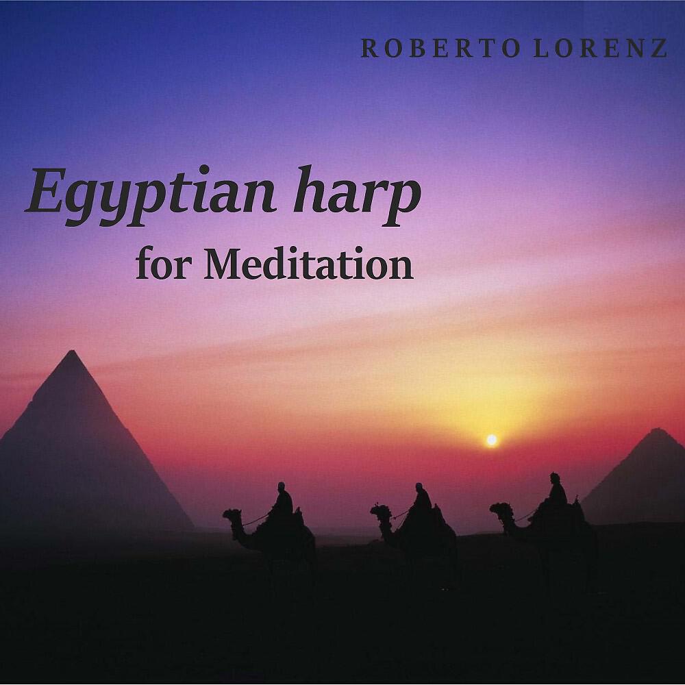 Roberto Lorenz - Scarab