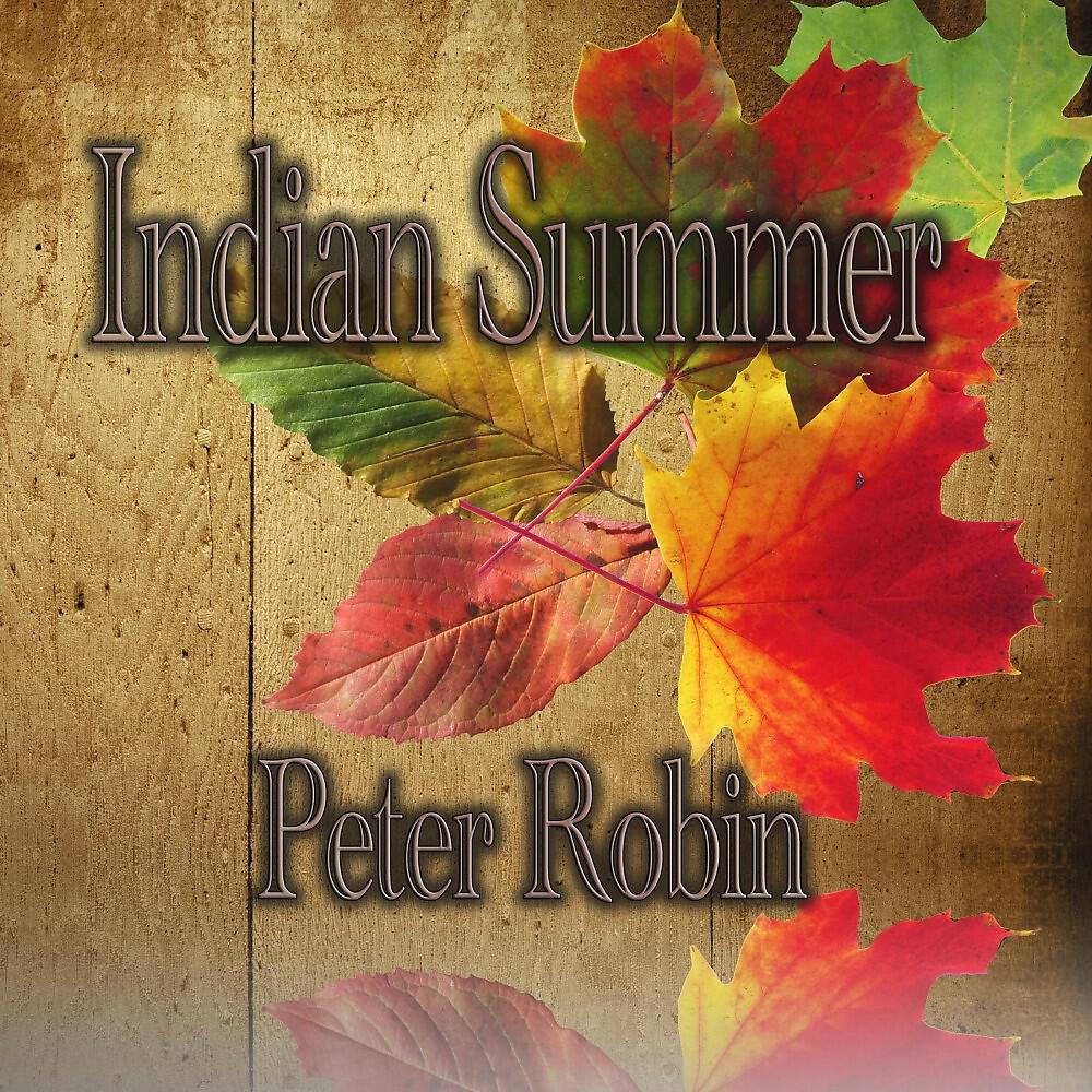 Peter Robin - Rock 'n Roll I Gave You All the Best Years of My Life