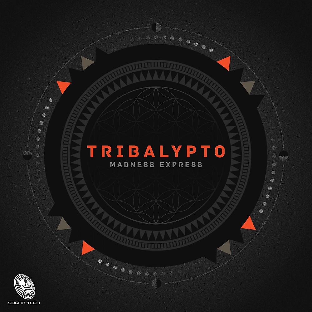 Постер альбома Tribalypto