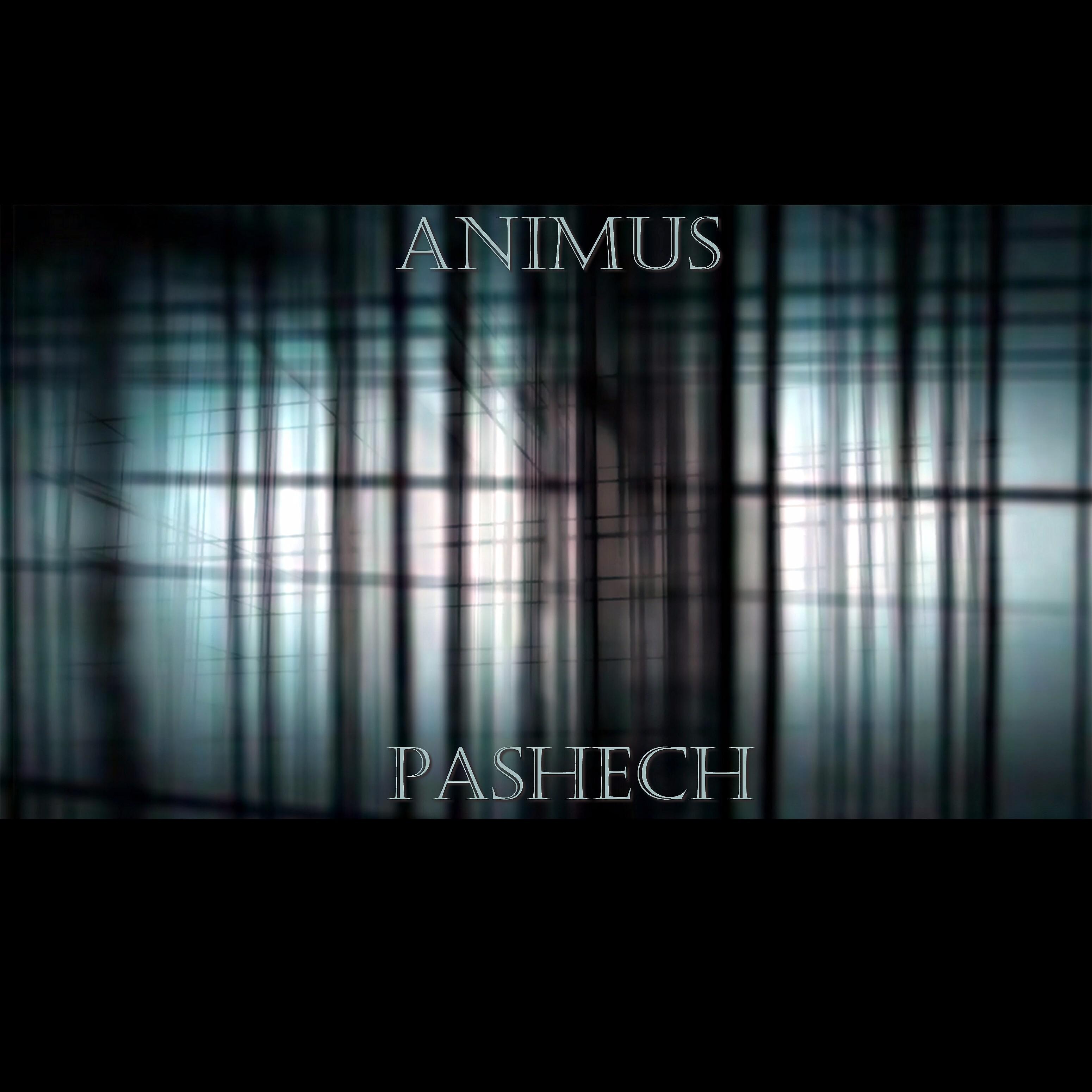 Постер альбома Animus