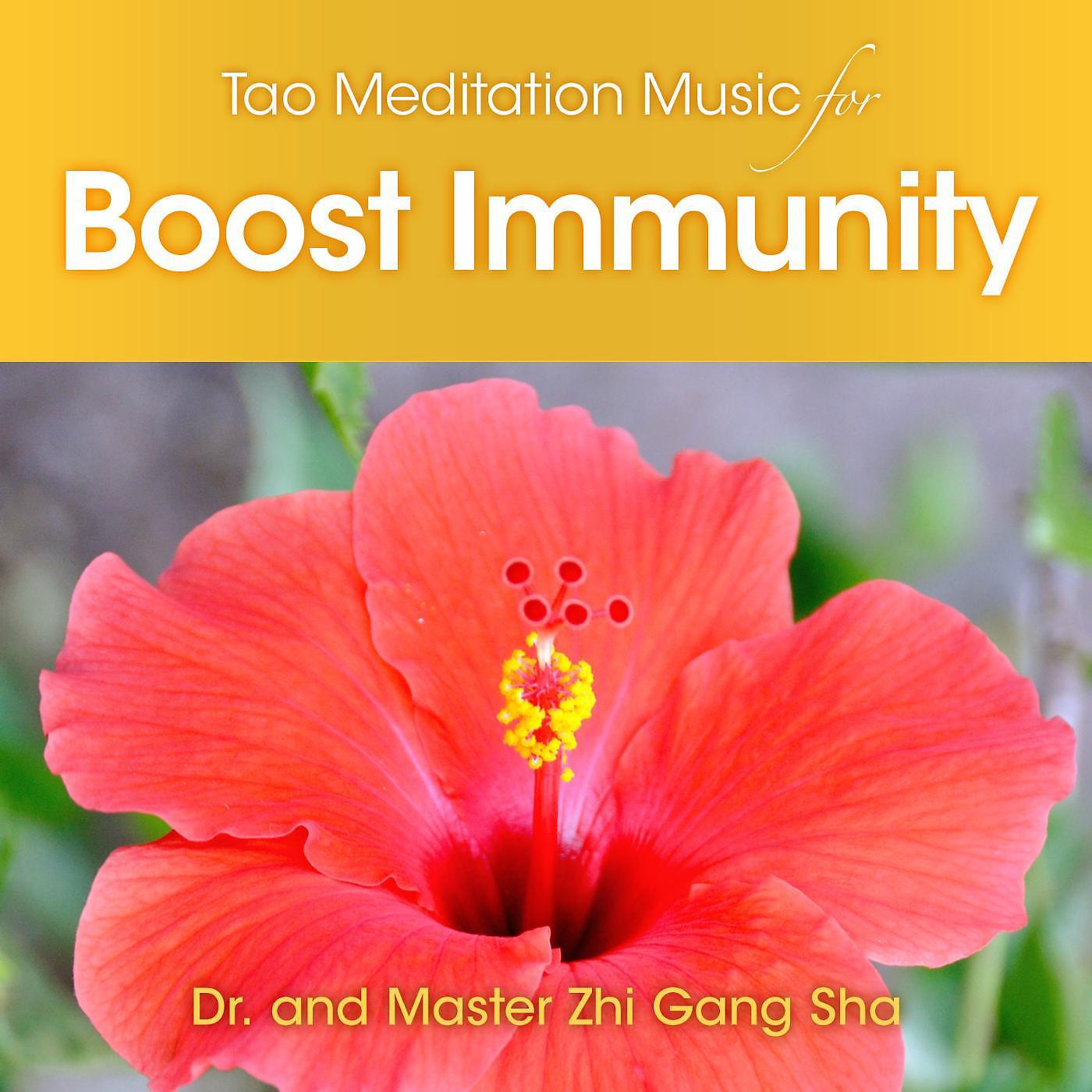 Постер альбома Tao Meditation Music to Boost Immunity