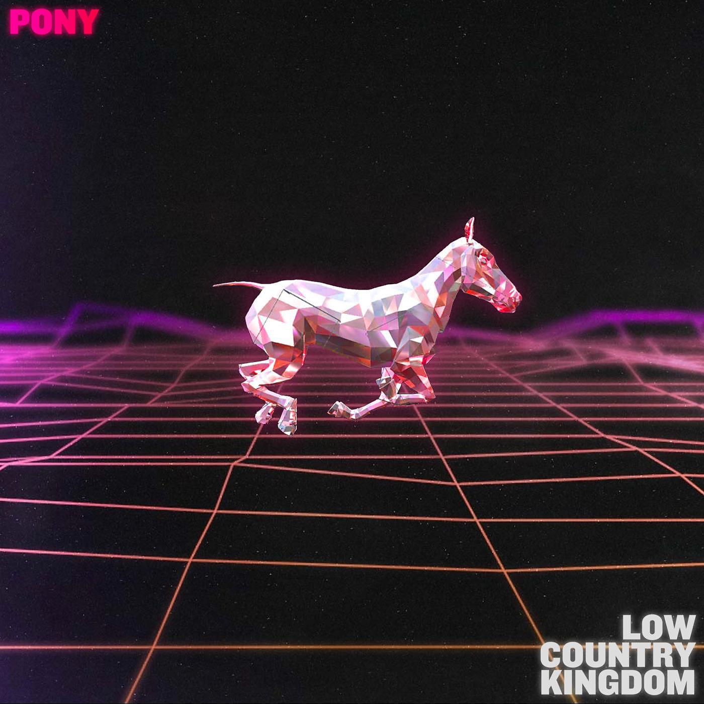 Постер альбома Pony