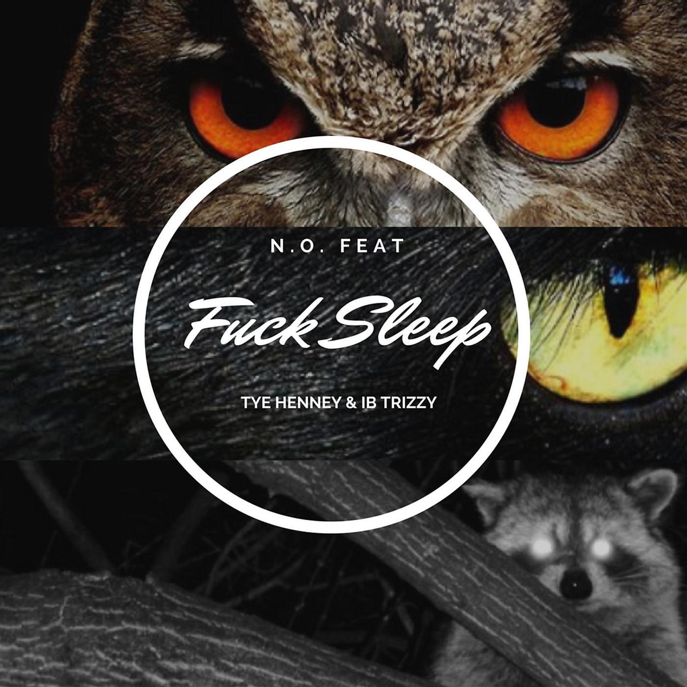 Постер альбома Fuck Sleep (feat. Tye Henney & Ib Trizzy)