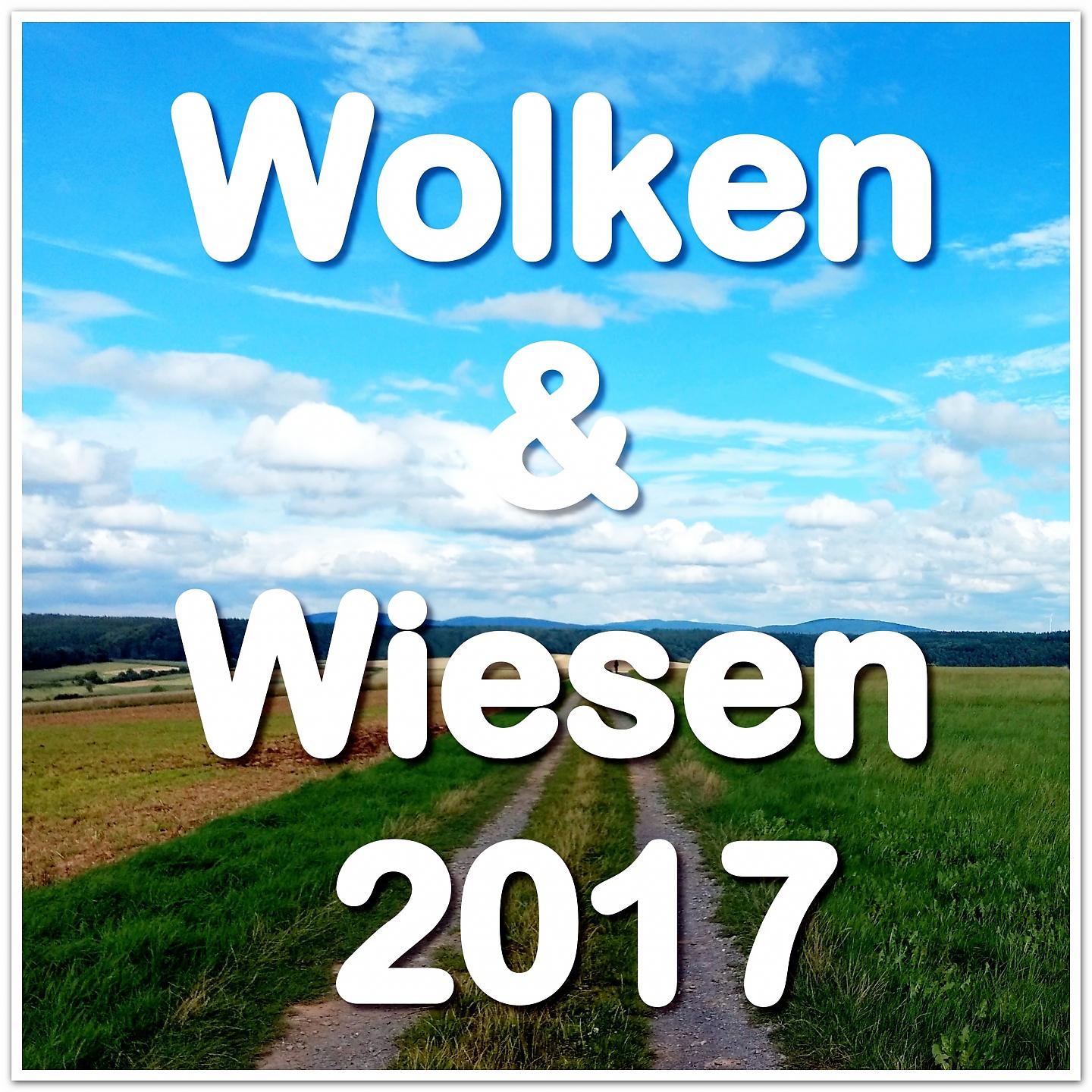 Постер альбома Wolken & Wiesen 2017