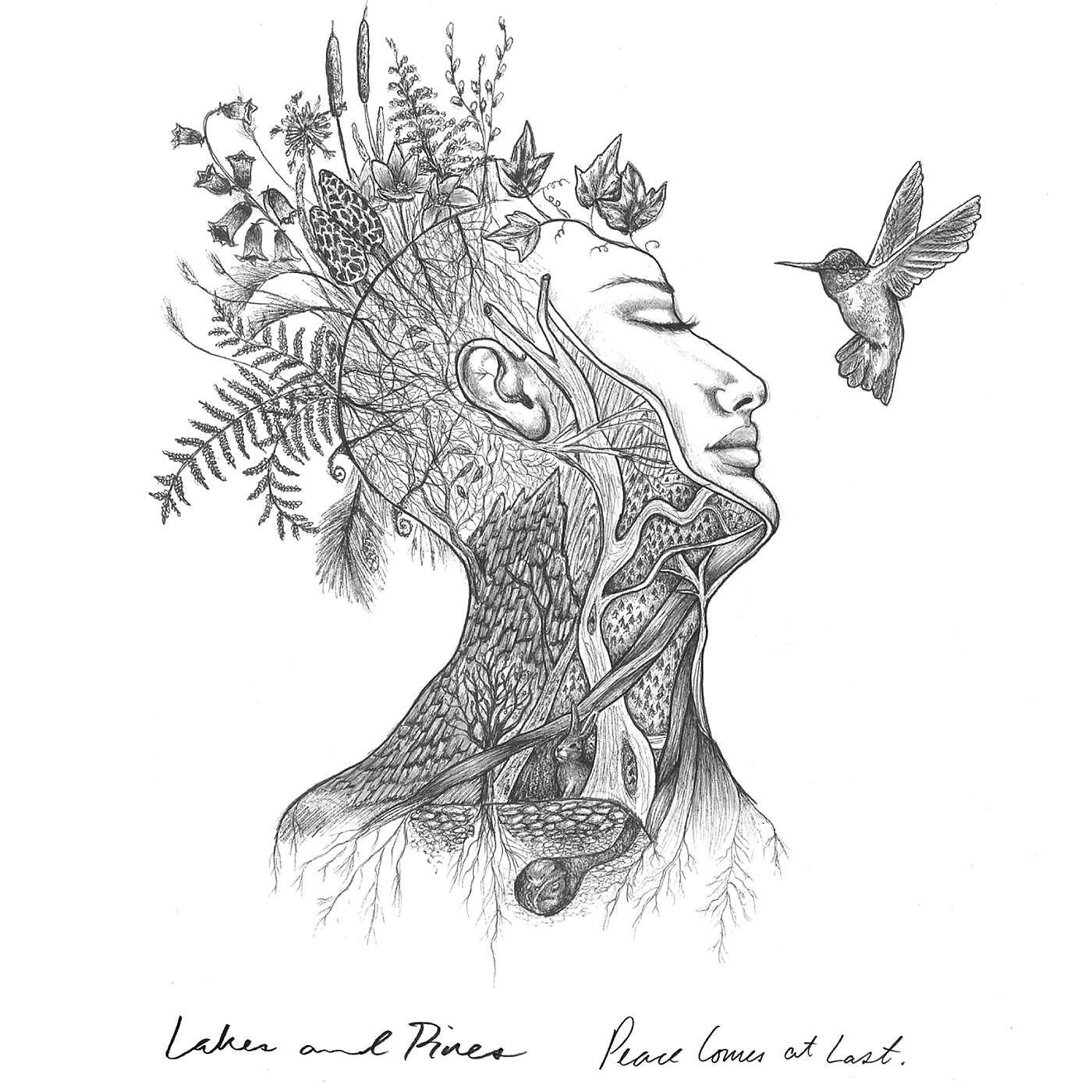 Lakes and Pines - Church of the Lake