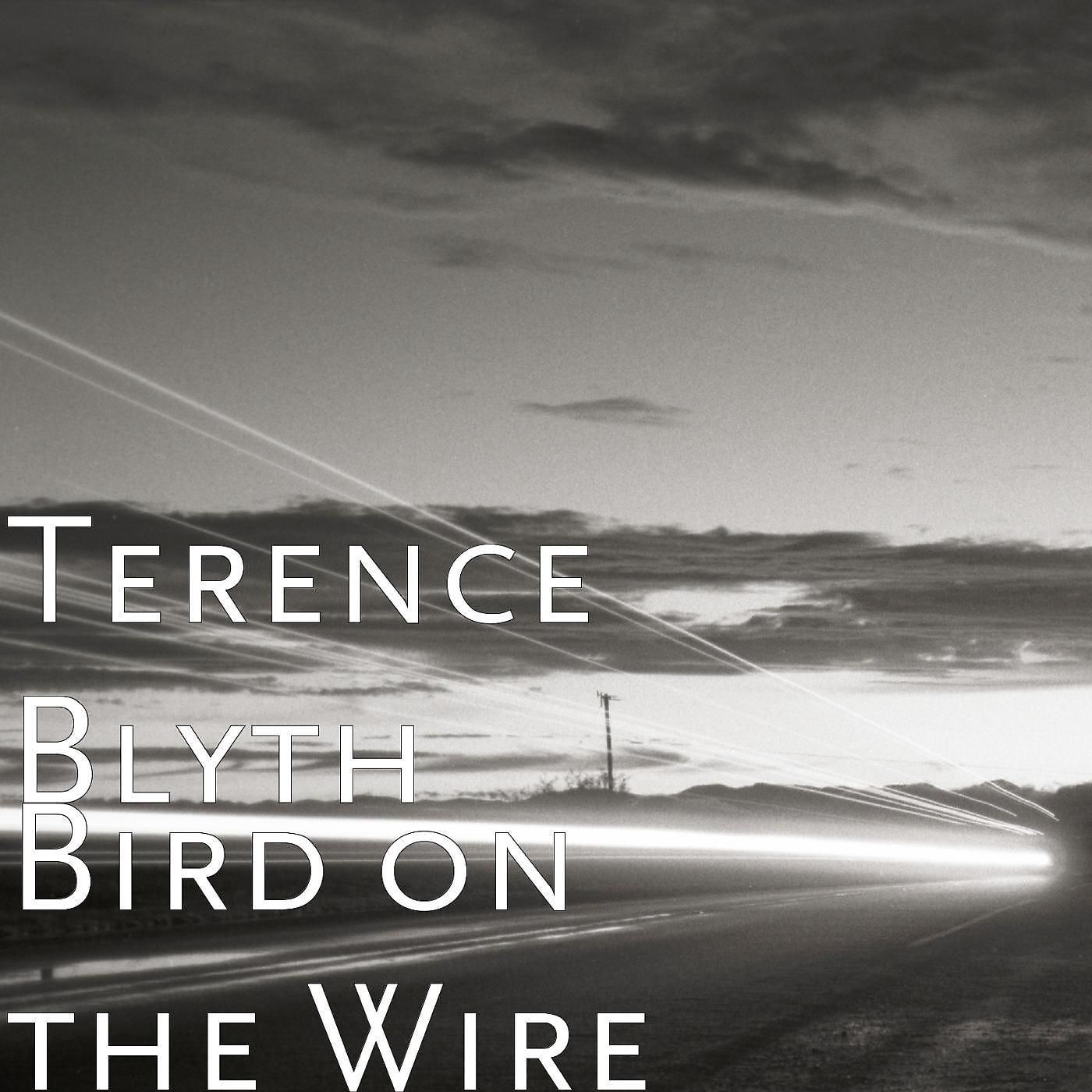 Постер альбома Bird on the Wire
