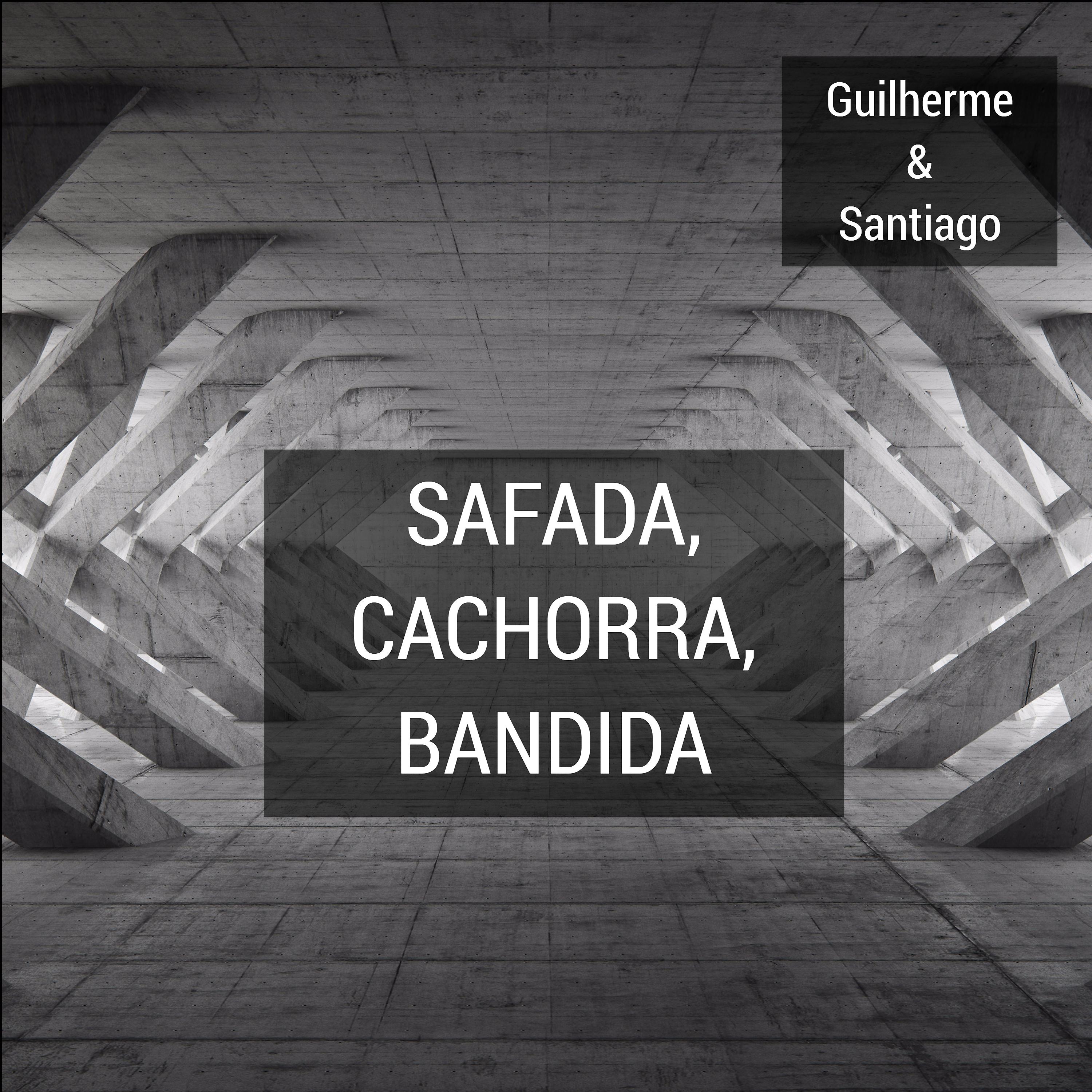 Постер альбома Safada, Cachorra, Bandida