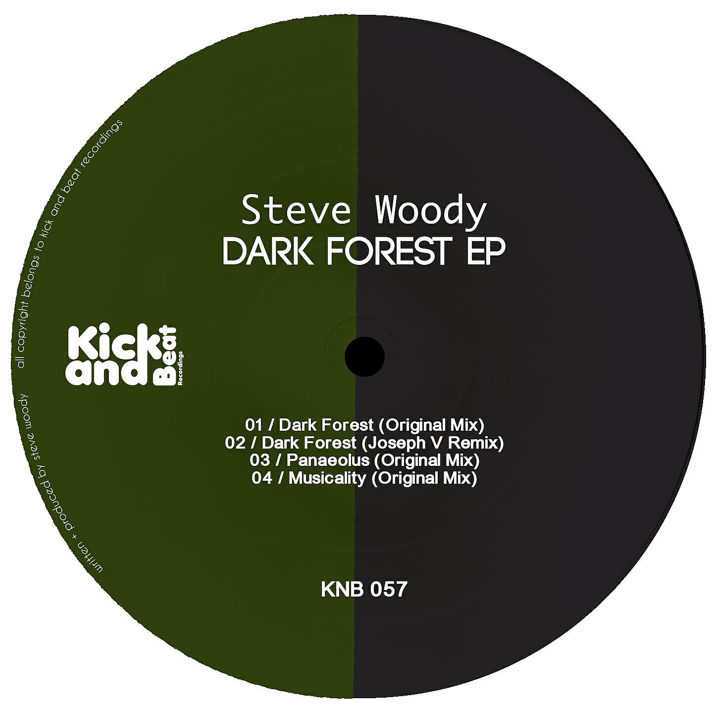Steve Woody - Dark Forest (Joseph V Remix)