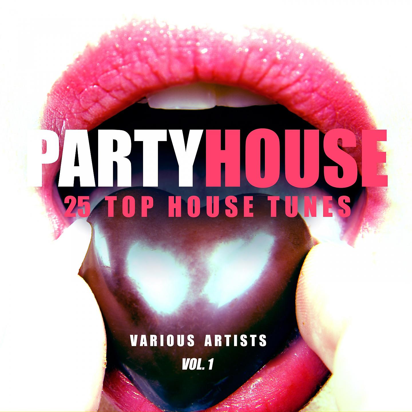 Постер альбома Partyhouse (25 Top House Tunes), Vol. 1
