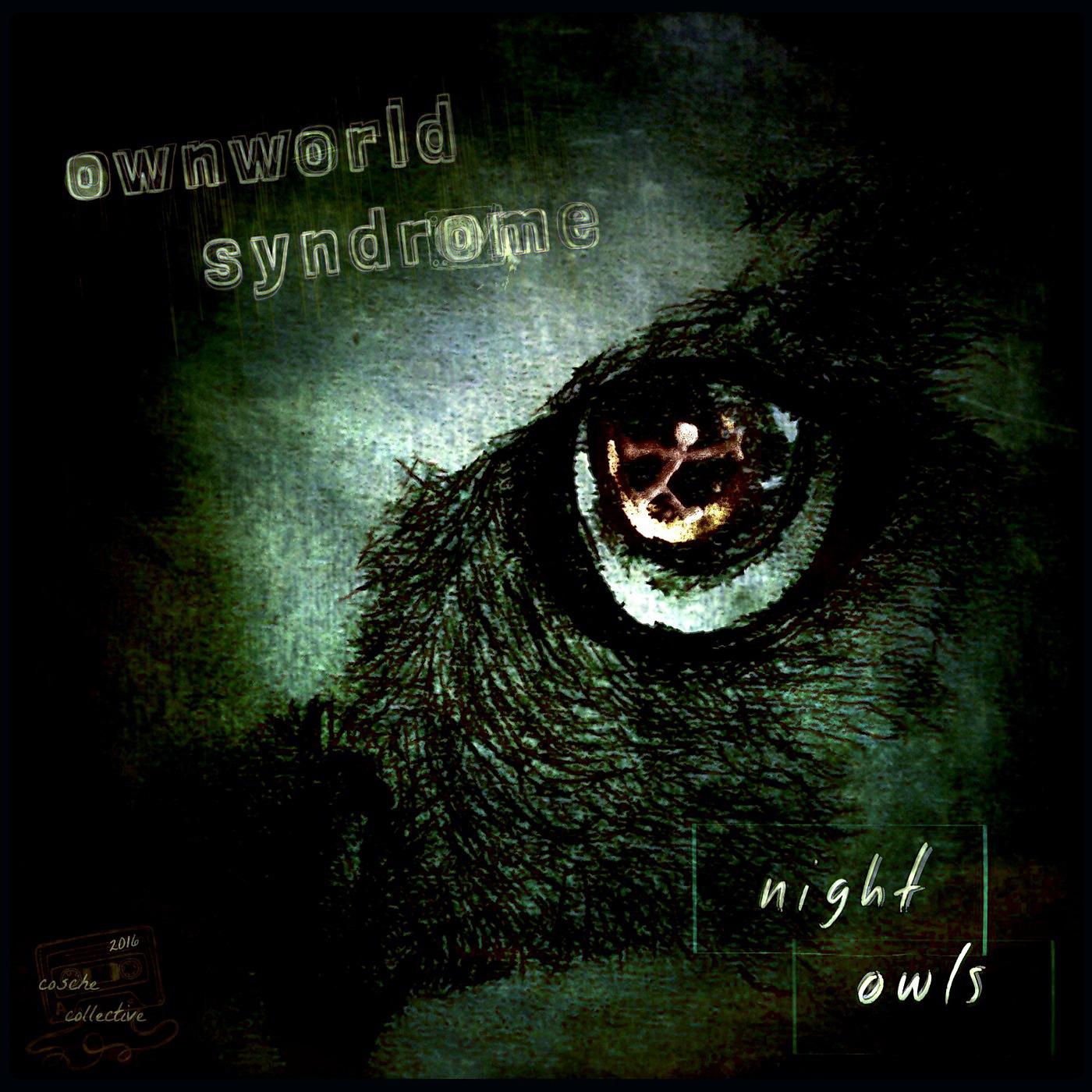 Постер альбома Night Owls