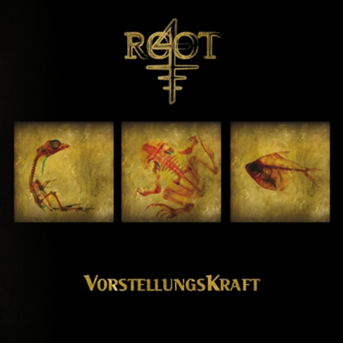 Постер альбома VorstellungsKraft