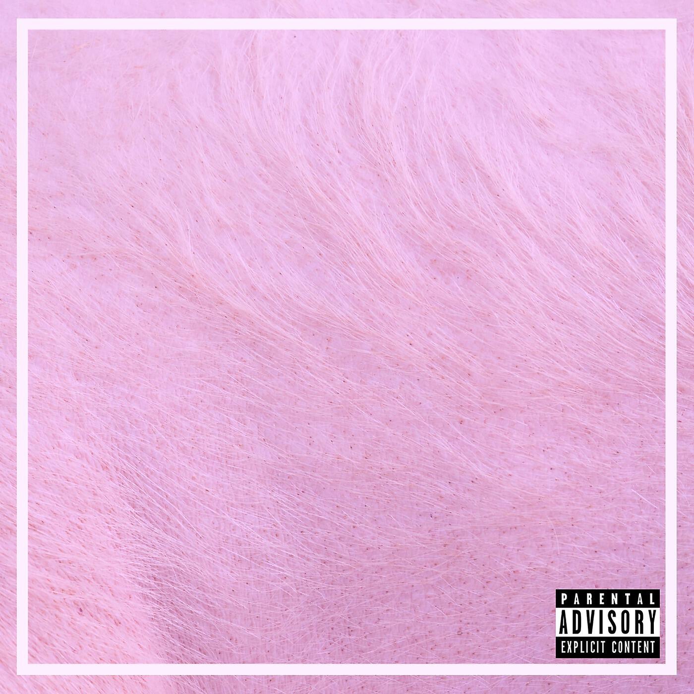BionicPIG - A Day at the Park (feat. Leon Lush)