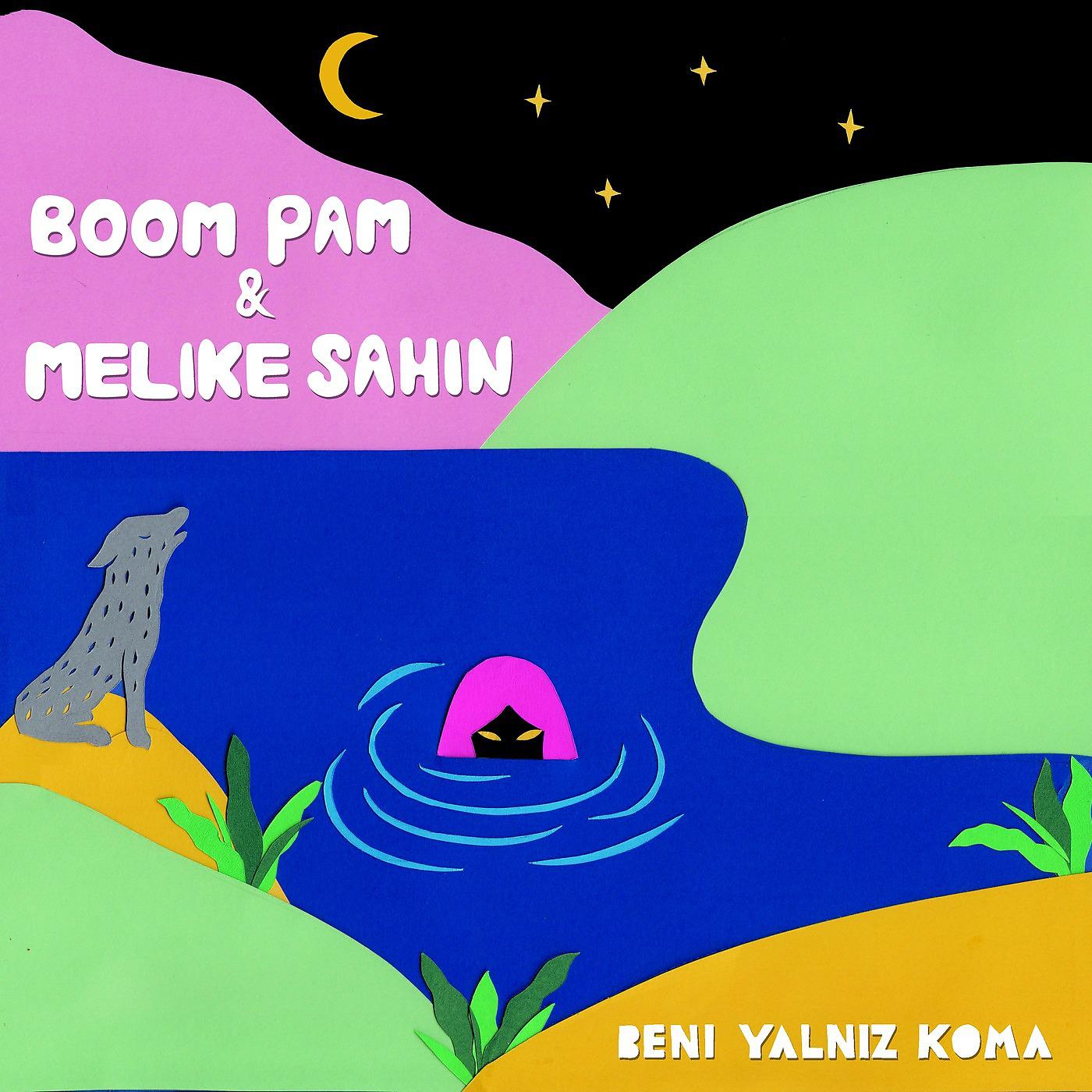 Постер альбома Benİ Yalniz Koma