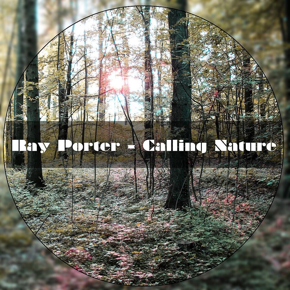 Ray Porter - Calling Nature (Sascha Beek Remix)