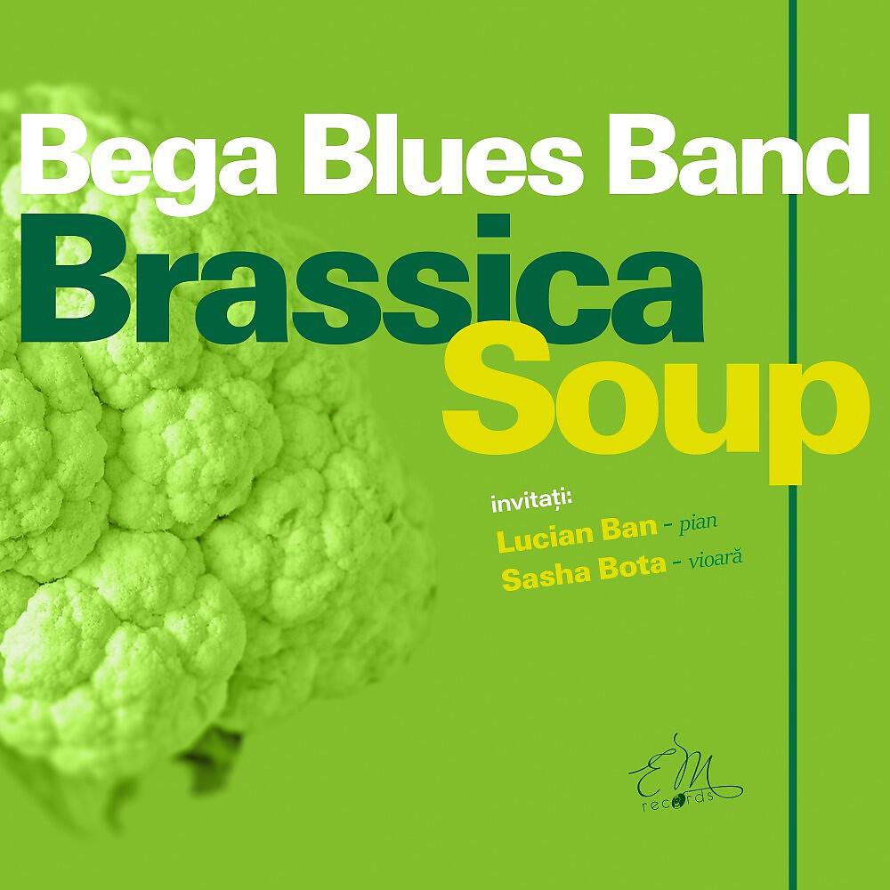 Bega Blues Band - Song for Sasha