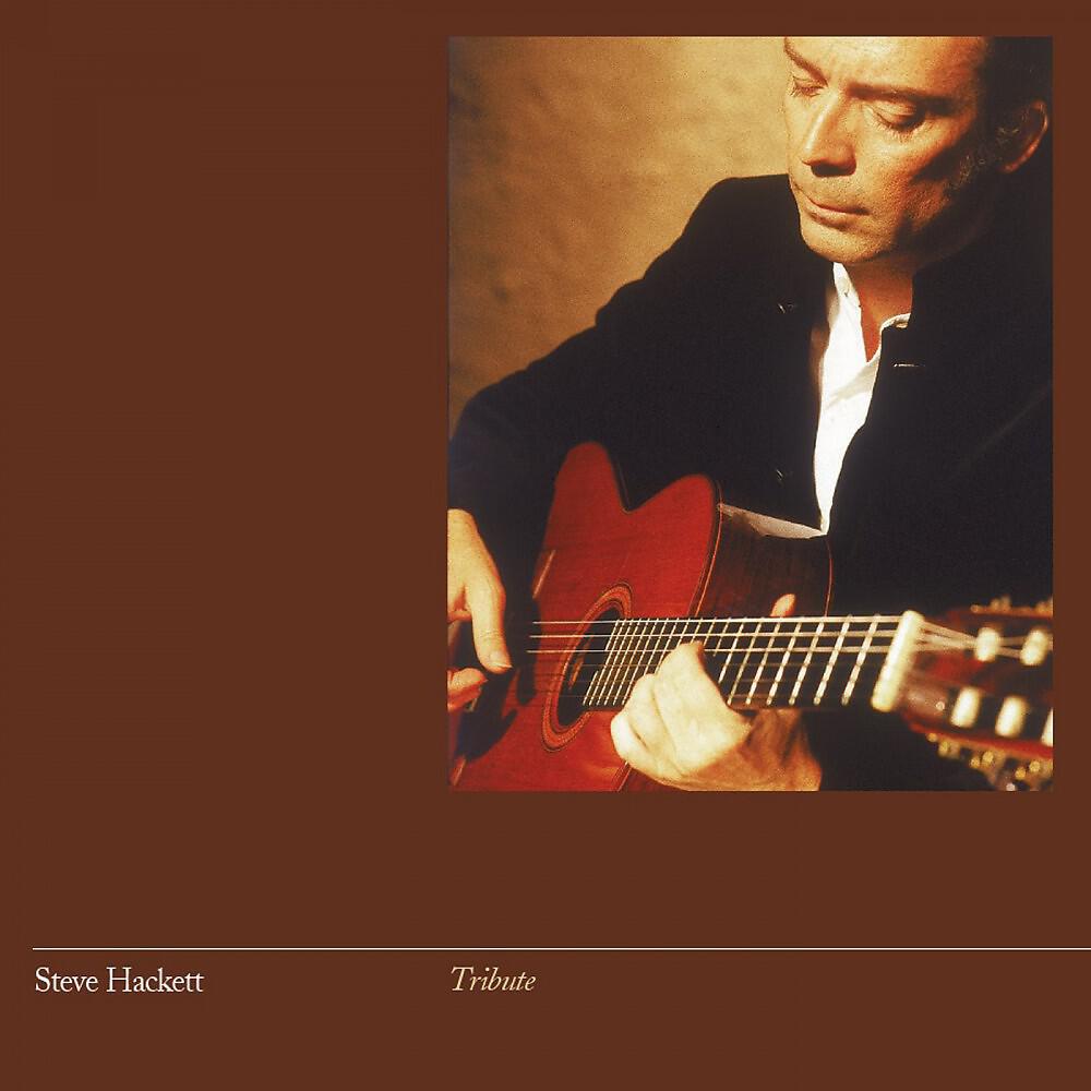 Steve Hackett - Gavottes from Cello Suite No. 6 in D Major, BWV 1012